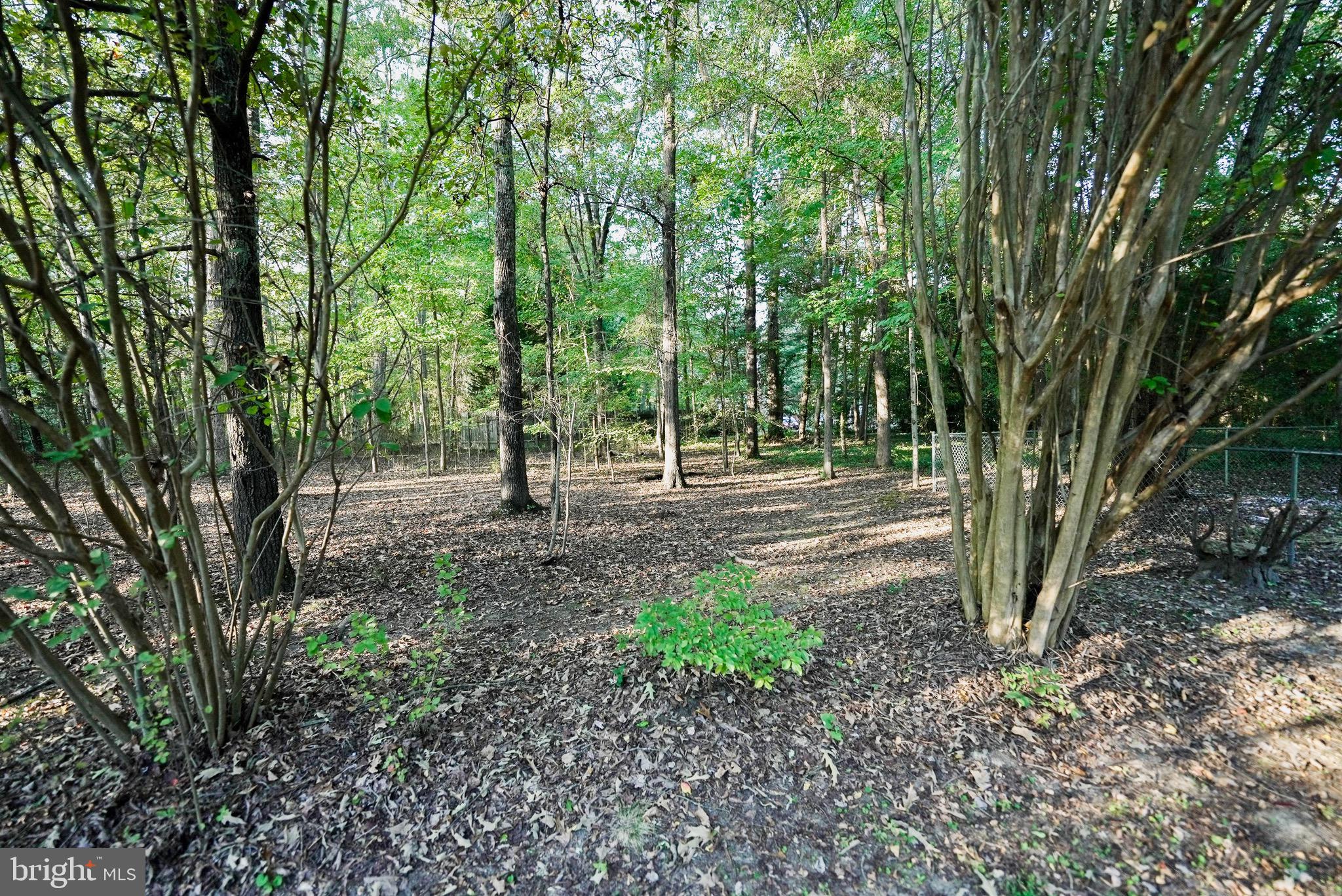 PRESQUILE - Residential