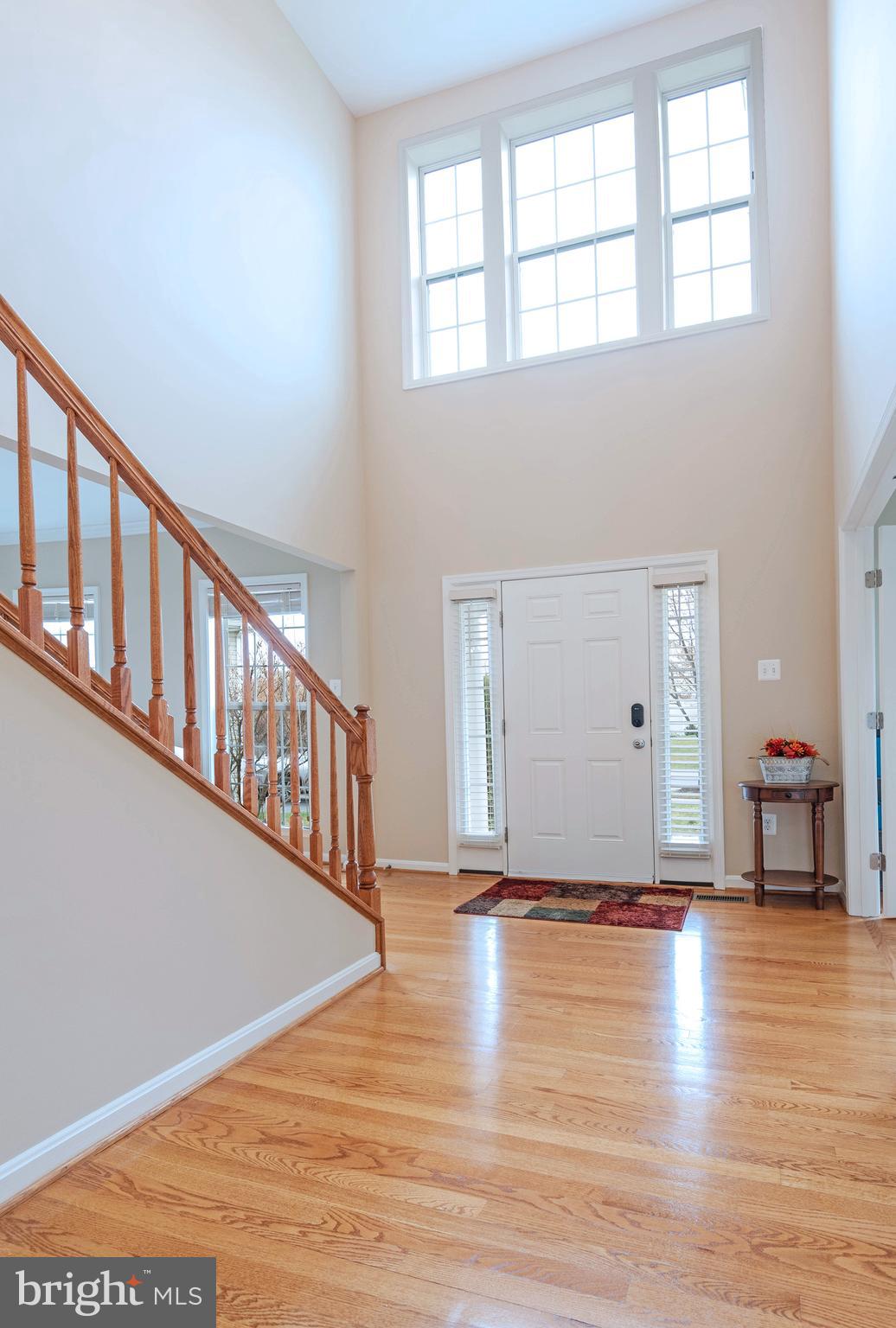 CYPRESS SPRINGS - Residential