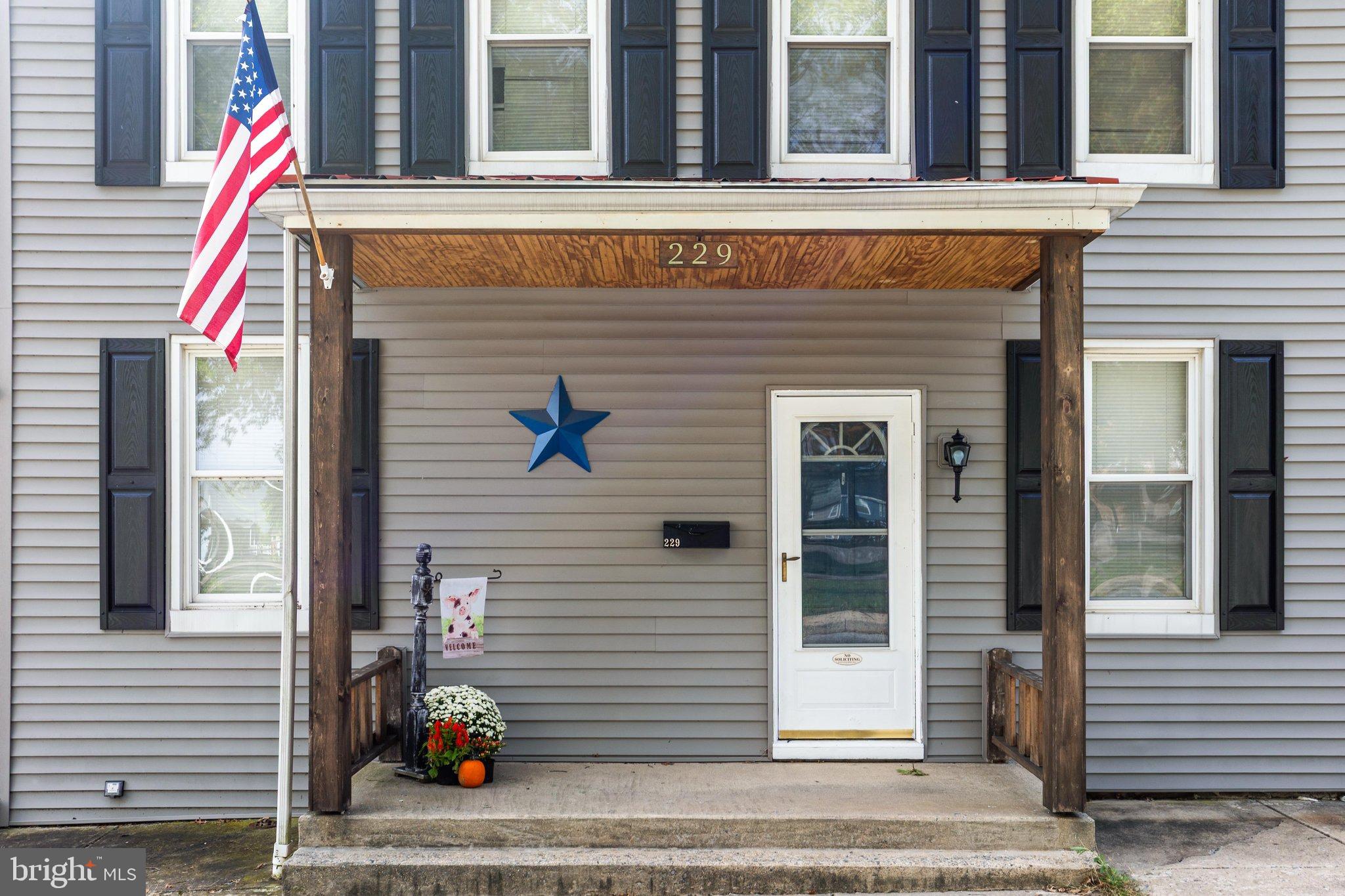 229 CHESTNUT STREET
