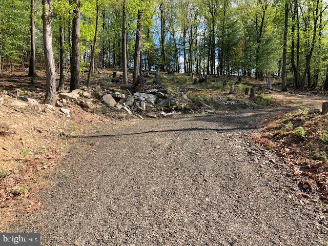 Get ready to build! Perc approved oversized .80 ac. lot with driveway in place in the beautiful, gated community of Lake Wynonah. Bring your own builder and get ready to live like you're on vacation every day. Easy access location with first right on Navajo to Papoose located @1 mile down the road. This lot is backed by agricultural land giving you that privacy factor. Lake Wynonah has two gorgeous lakes great for boating, fishing, waterskiing, paddleboarding and more. The community also includes a clubhouse/lodge with bar and dining, swimming pool, tennis, pickleball and basketball courts, playgrounds and more.