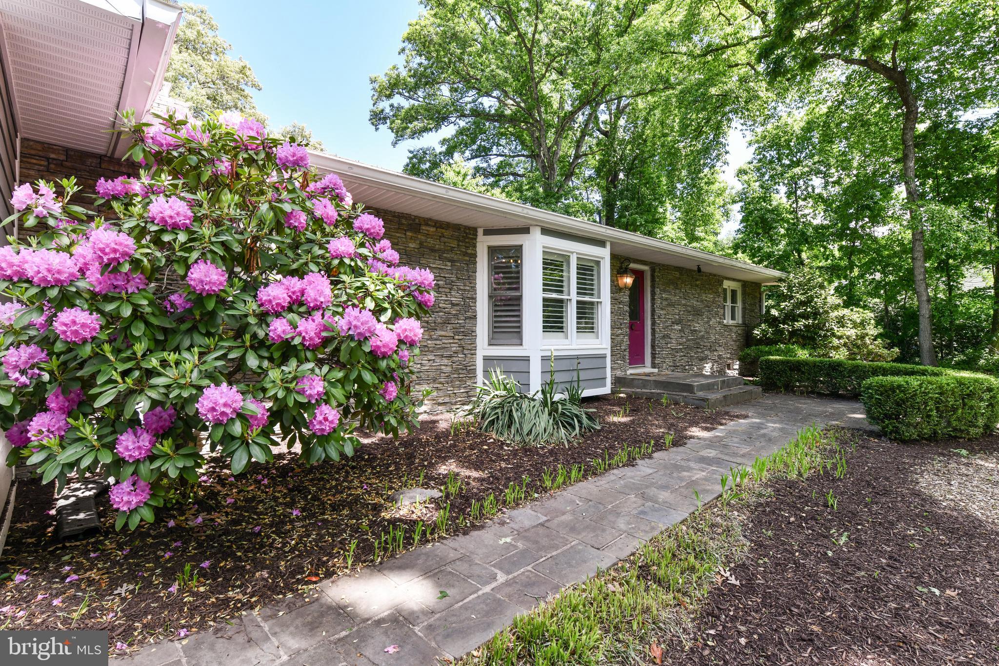 14 OAK LANE