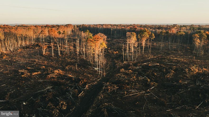 This 312± acre property offers an ideal blend of size, location, and natural beauty, just a short drive from Fredericksburg and Lake Anna. Catharpin Run, along with several natural springs, runs through the land, providing excellent water sources and strong wildlife habitat. Currently undergoing a timber harvest (expected completion August–September 2026), the property presents a great opportunity for replanting, habitat improvement, and long-term land management. Protected by a permanent conservation easement, the land maintains its rural character while allowing for two division rights (up to three total lots). Each homesite can support a residence of up to 4,500 sq ft. The property supports a wide range of uses including agriculture, livestock, forestry, hunting, fishing, and recreation. A rare opportunity to own and manage a large, private tract with long-term conservation in place.