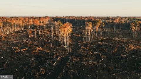 Vacant Land For Sale - 12600 W Catharpin Road<br/> SPOTSYLVANIA, VA 22551