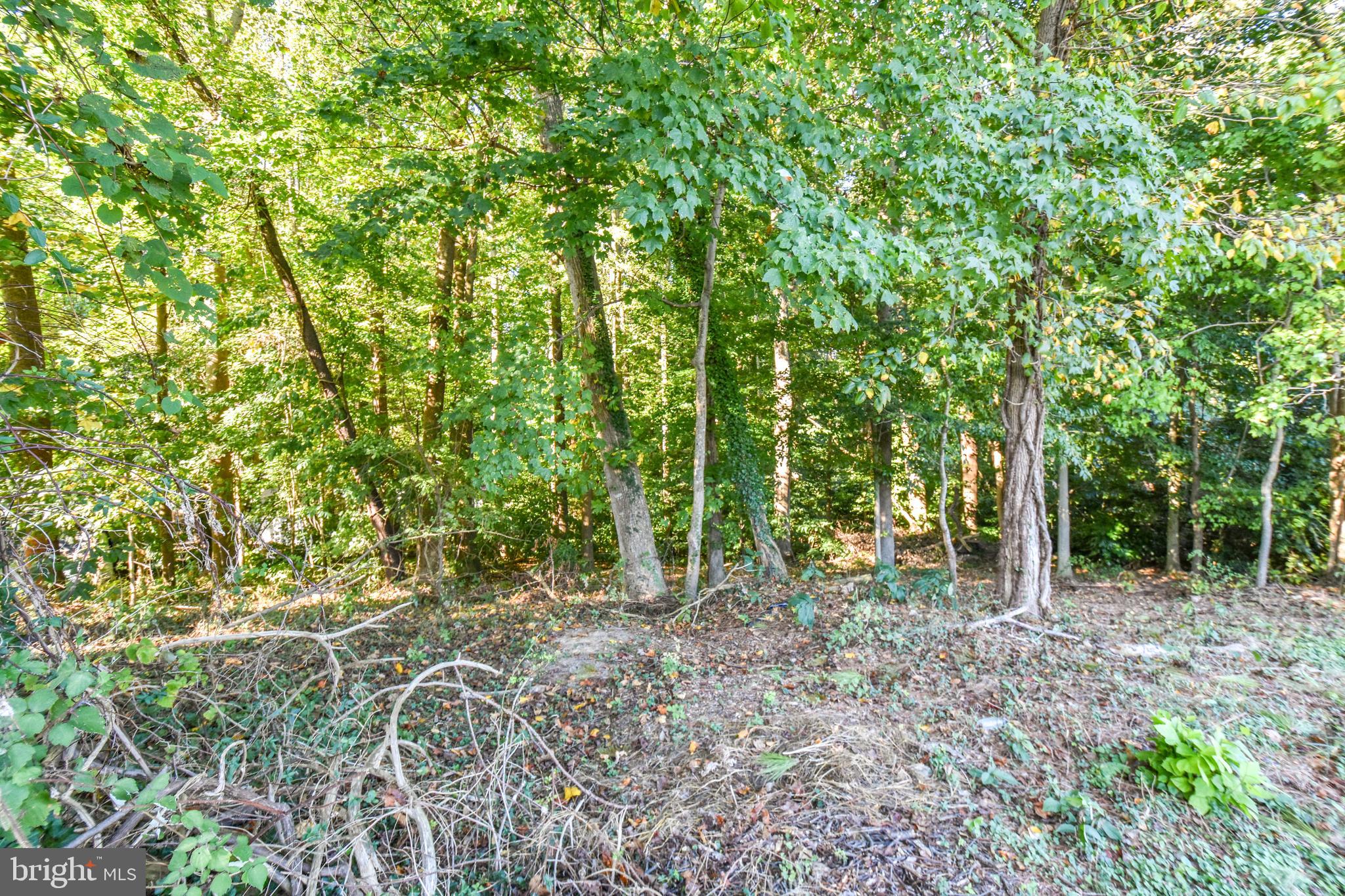 LONG BEACH - Residential