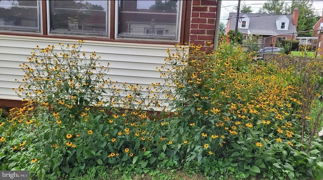 CHILLUM TERRACE - Residential