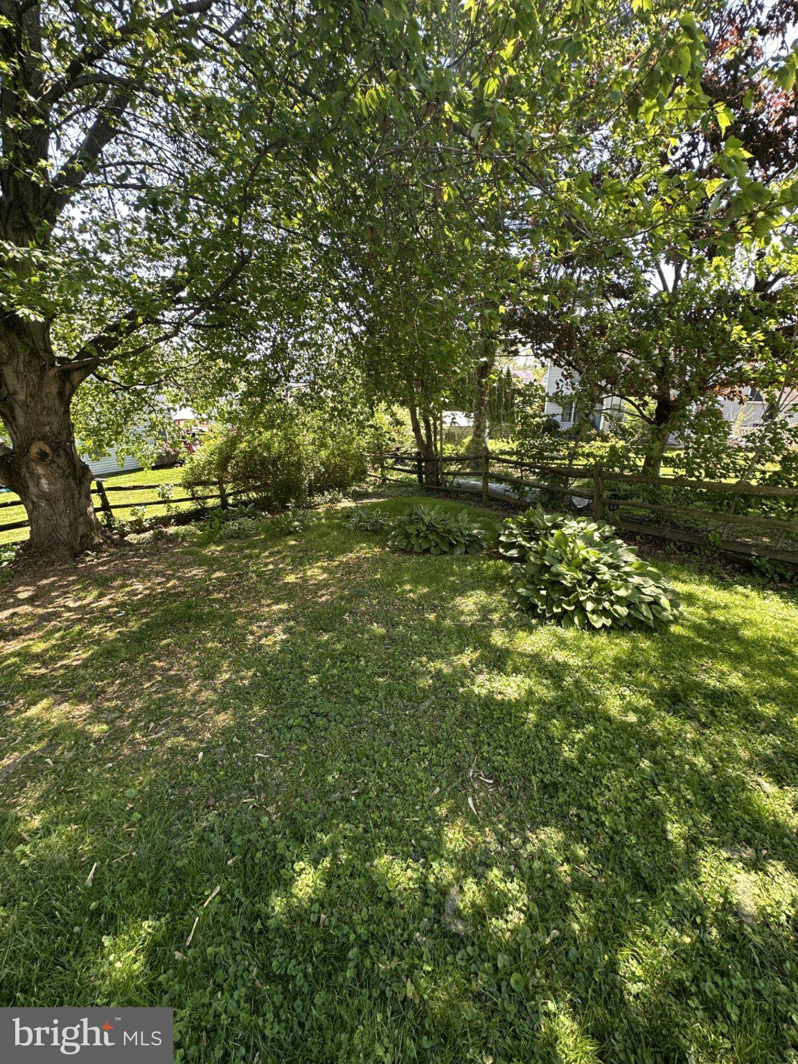 805 HAYDEN COURT