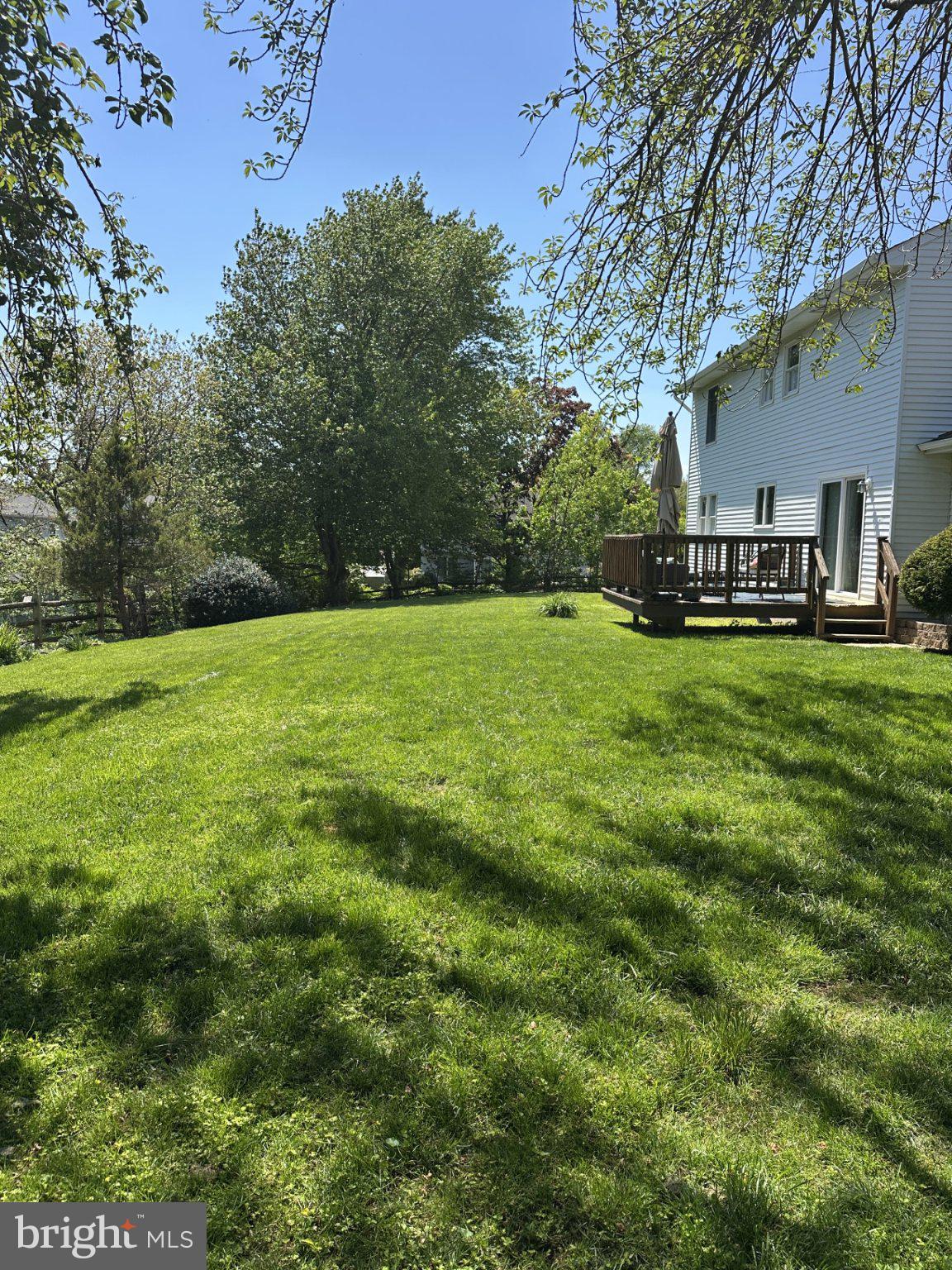 805 HAYDEN COURT