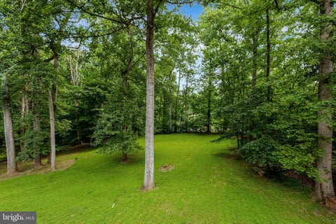 Vacant Land For Sale - 9185 Old Dominion Drive<br/> Fairfax County, GREAT FALLS, VA 22066