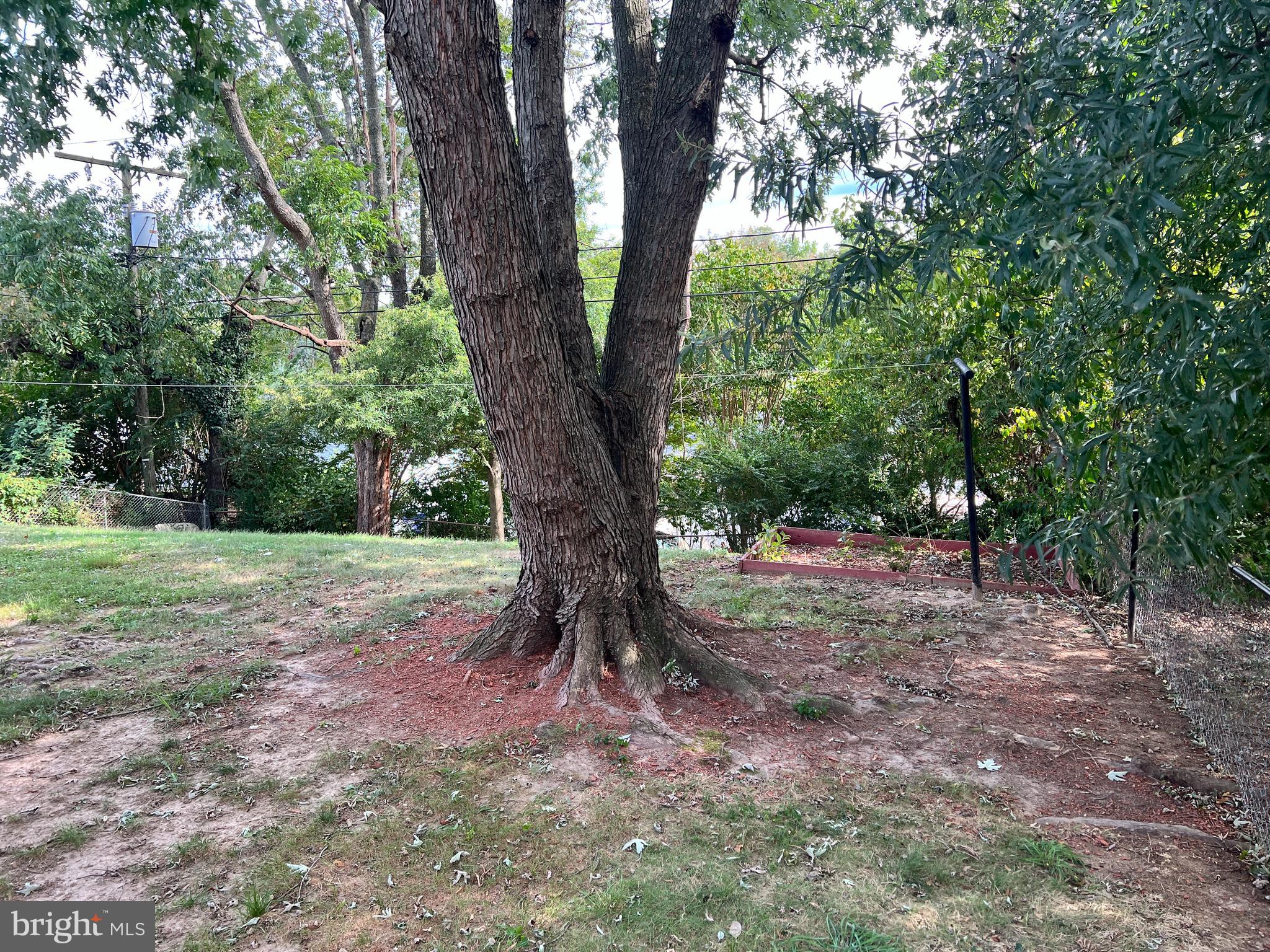 LAUREL - Residential