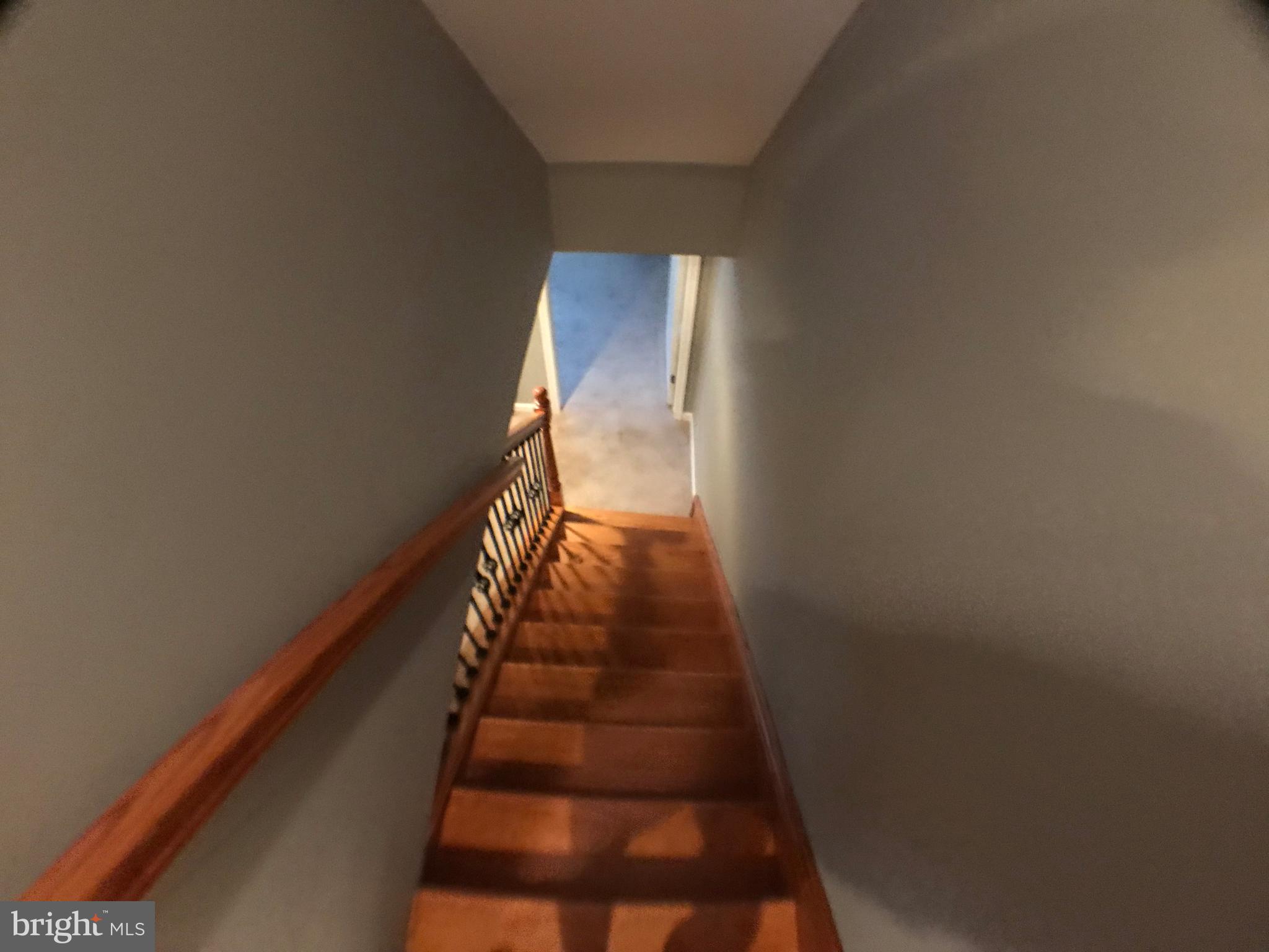 GREEKTOWN - Residential Lease