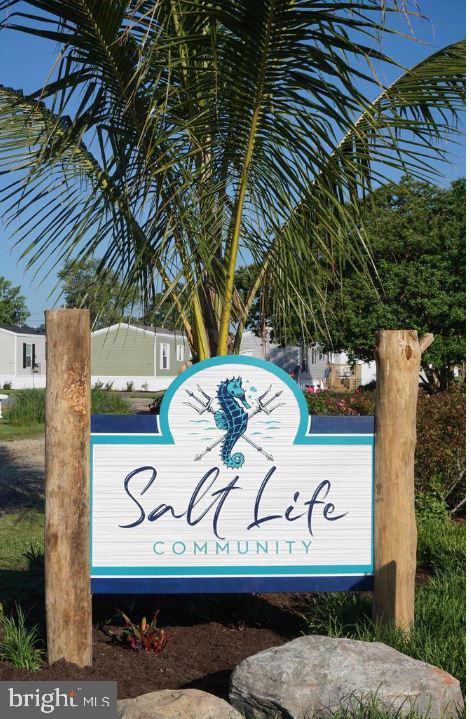 SALT LIFE PARK LLC - Residential