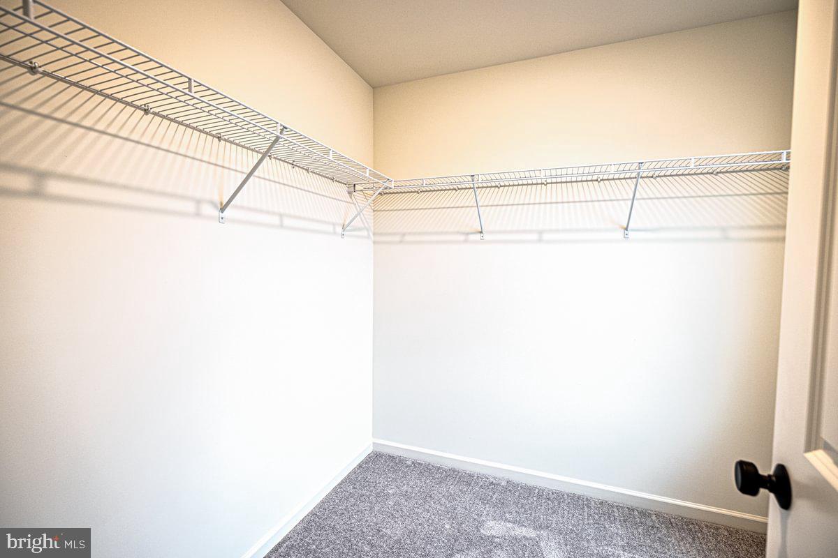 CUMBERLAND PRESERVE - Residential