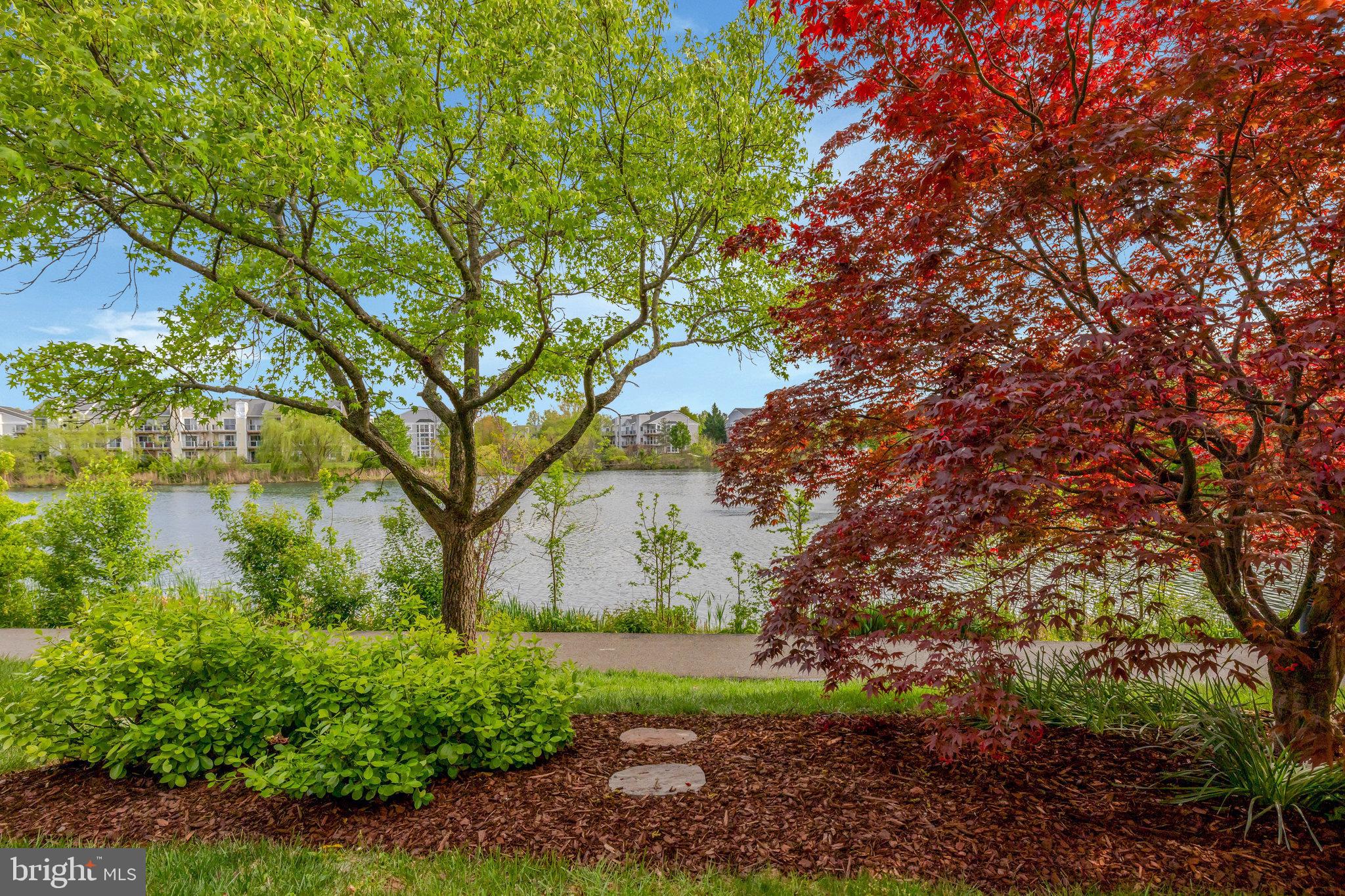 ASHBURN VILLAGE - Residential