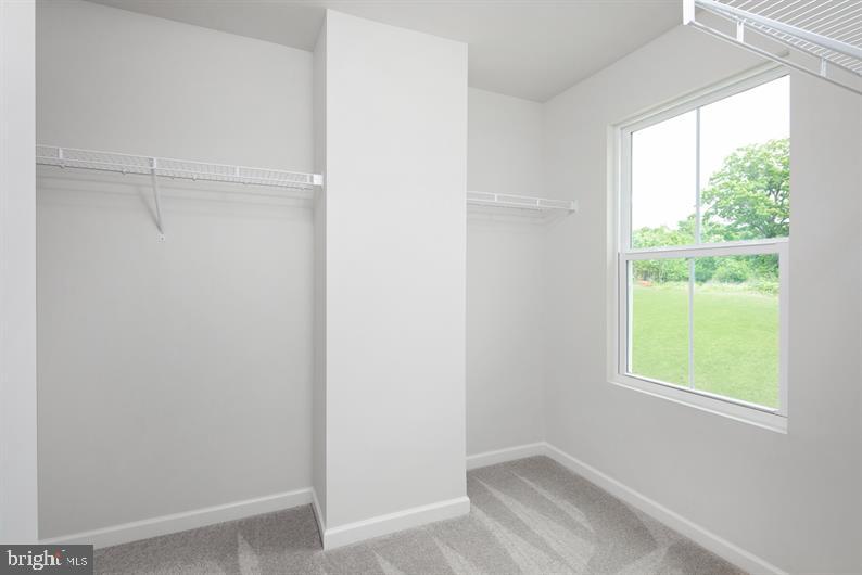 CARDINAL POINTE - Residential