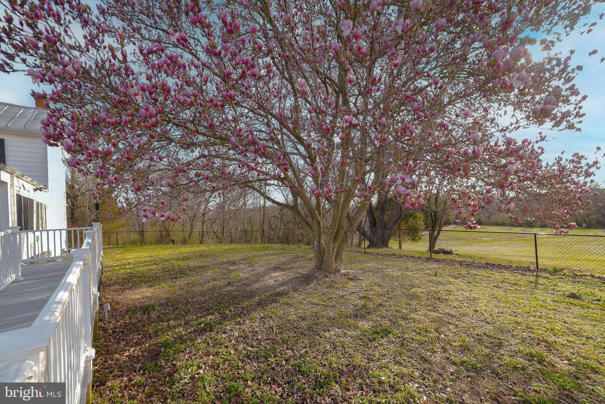 DANIEL FARM - Residential Lease