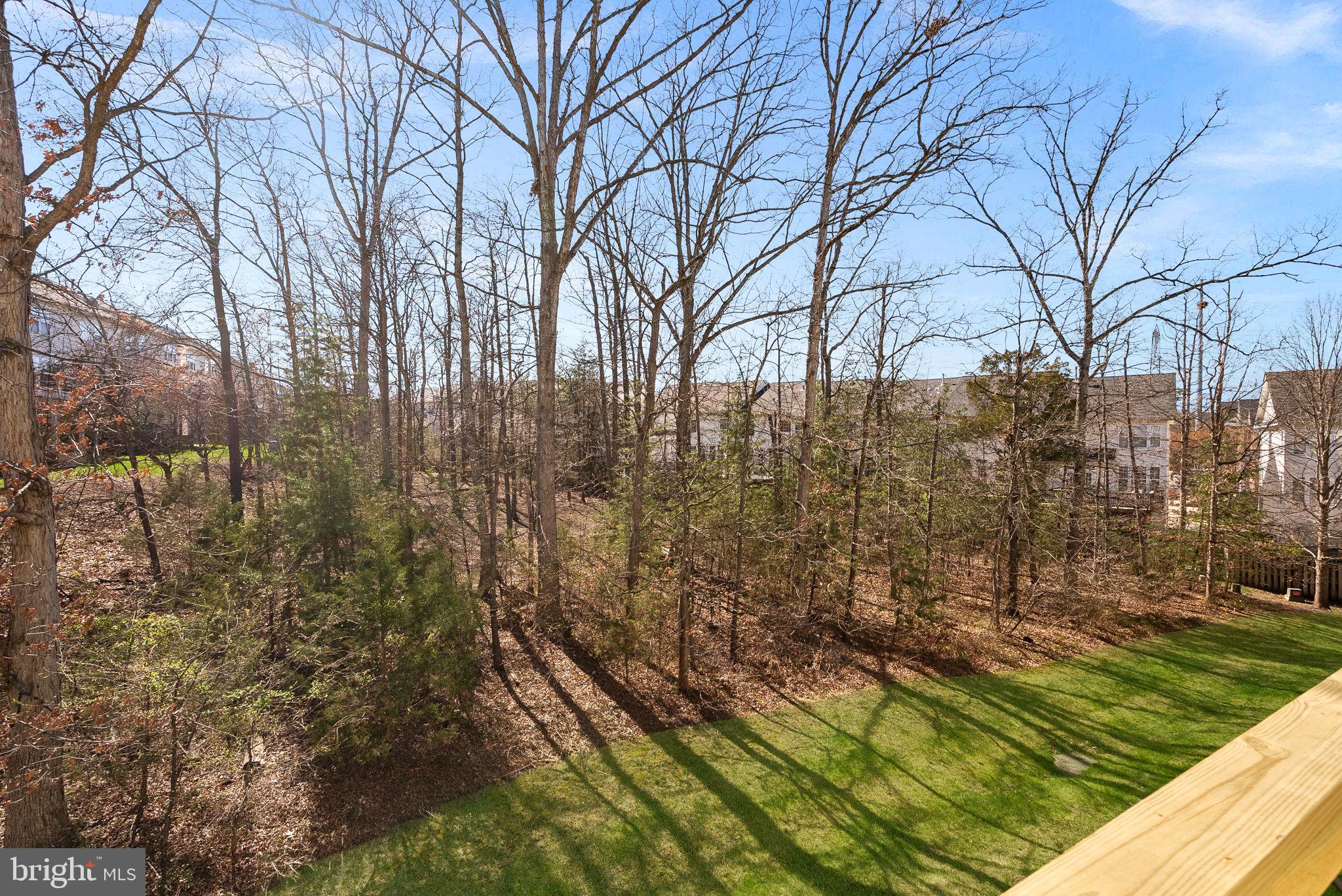 POTOMAC STATION - Residential