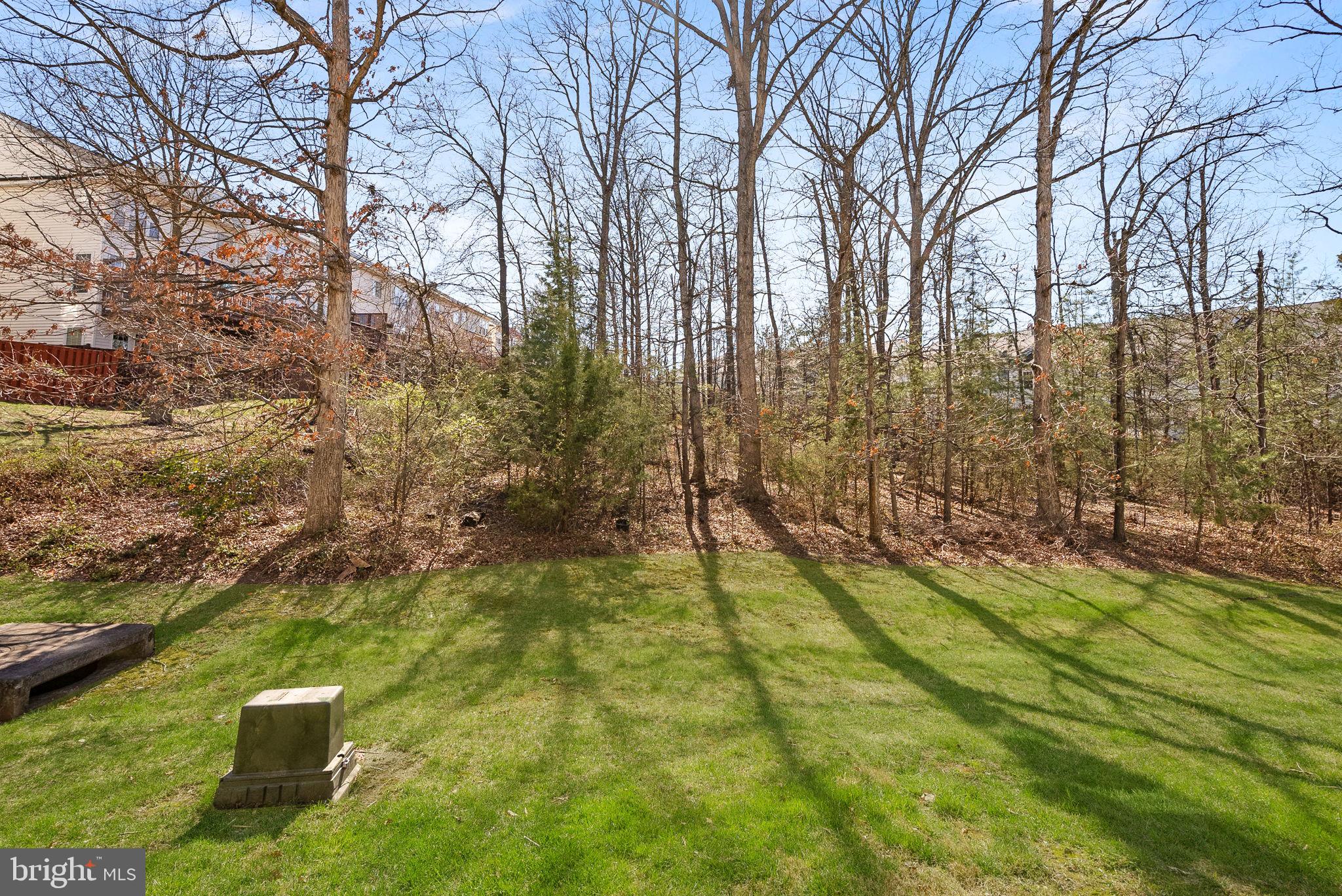 POTOMAC STATION - Residential