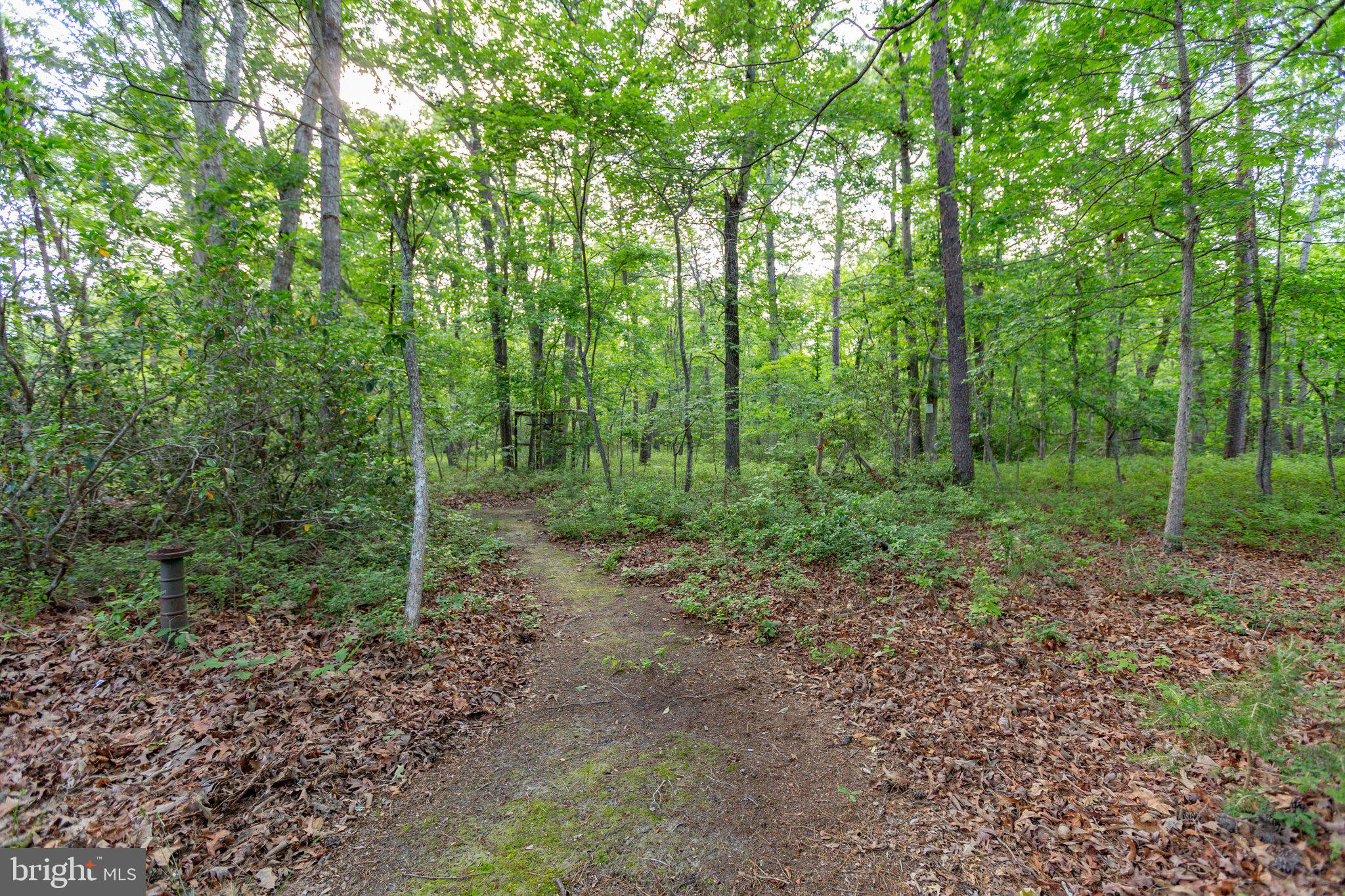 ESTATES OF LEE-JACKSON - Residential
