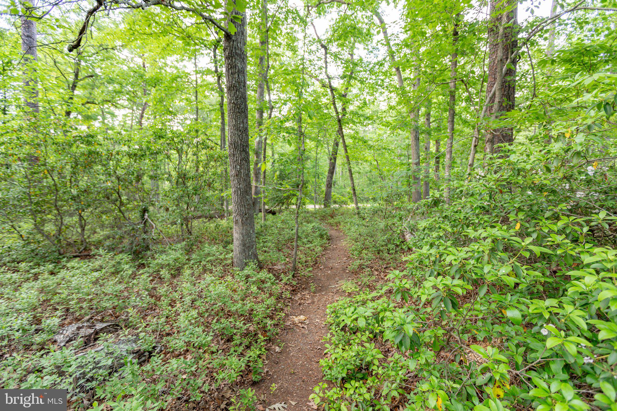 ESTATES OF LEE-JACKSON - Residential