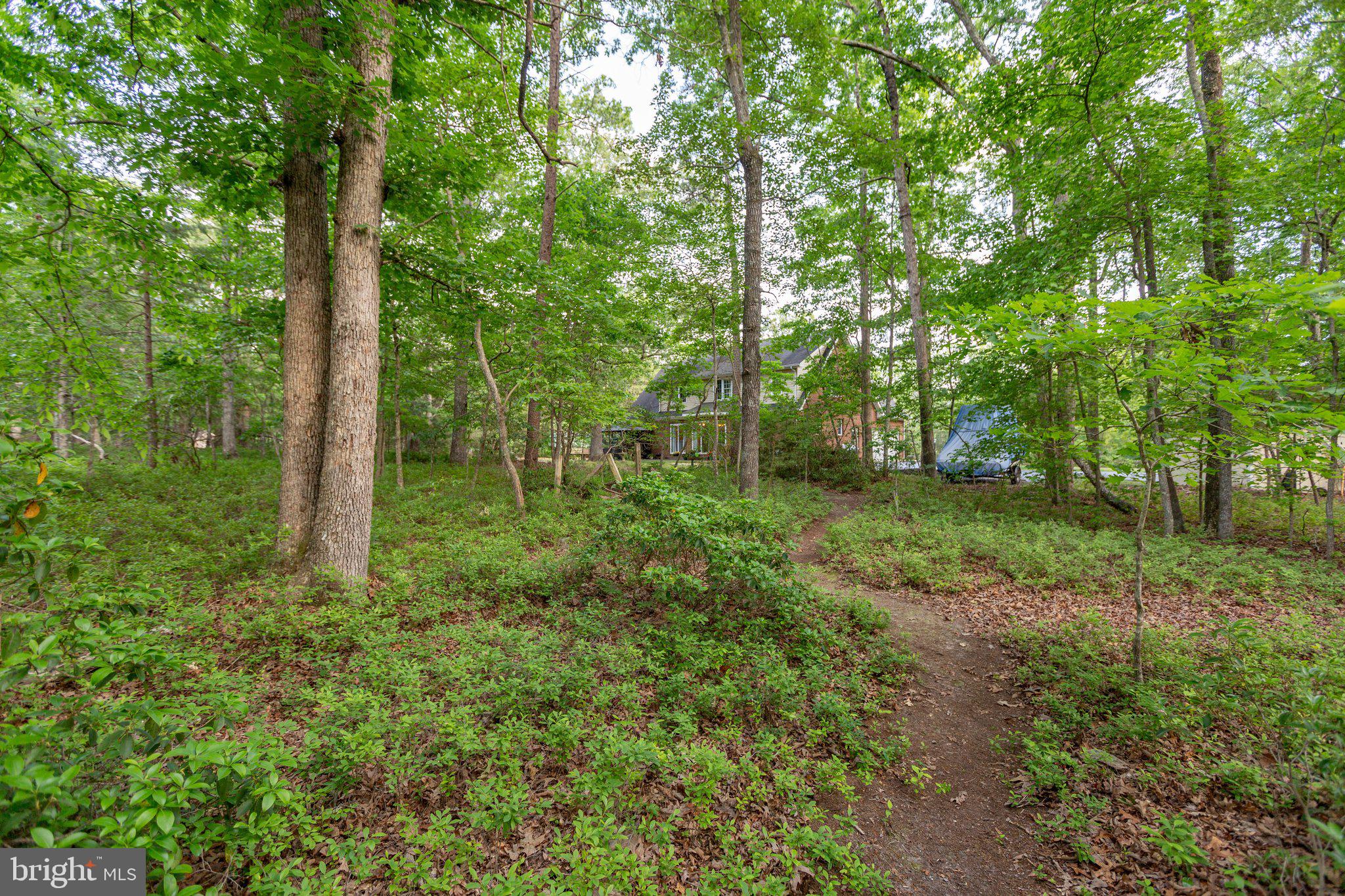 ESTATES OF LEE-JACKSON - Residential