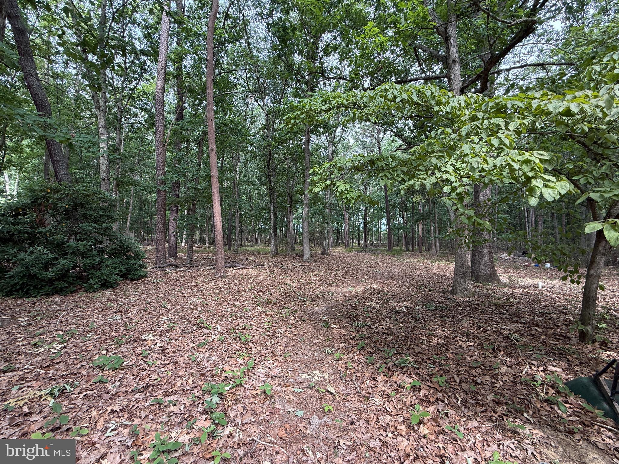 227 OAKSHADE ROAD