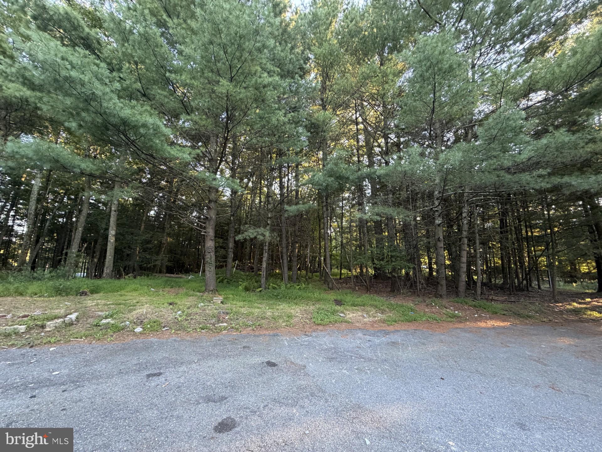 189 TURKEY RIDGE DRIVE