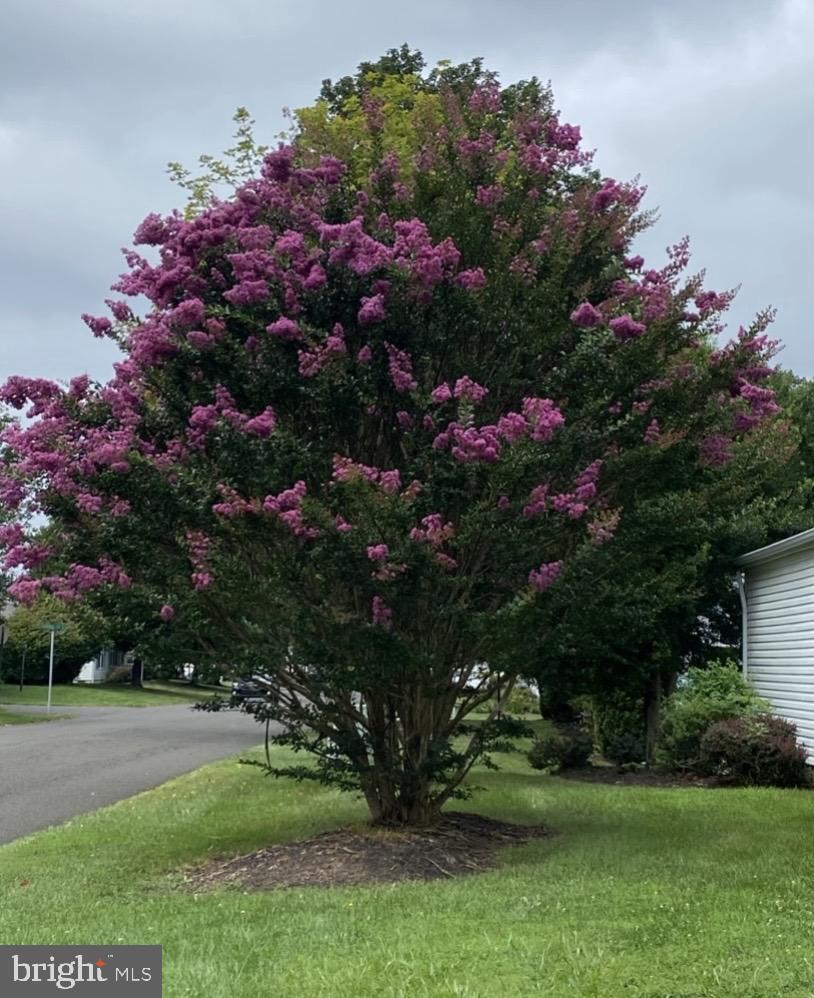 BUCKINGHAM SPRINGS - Residential