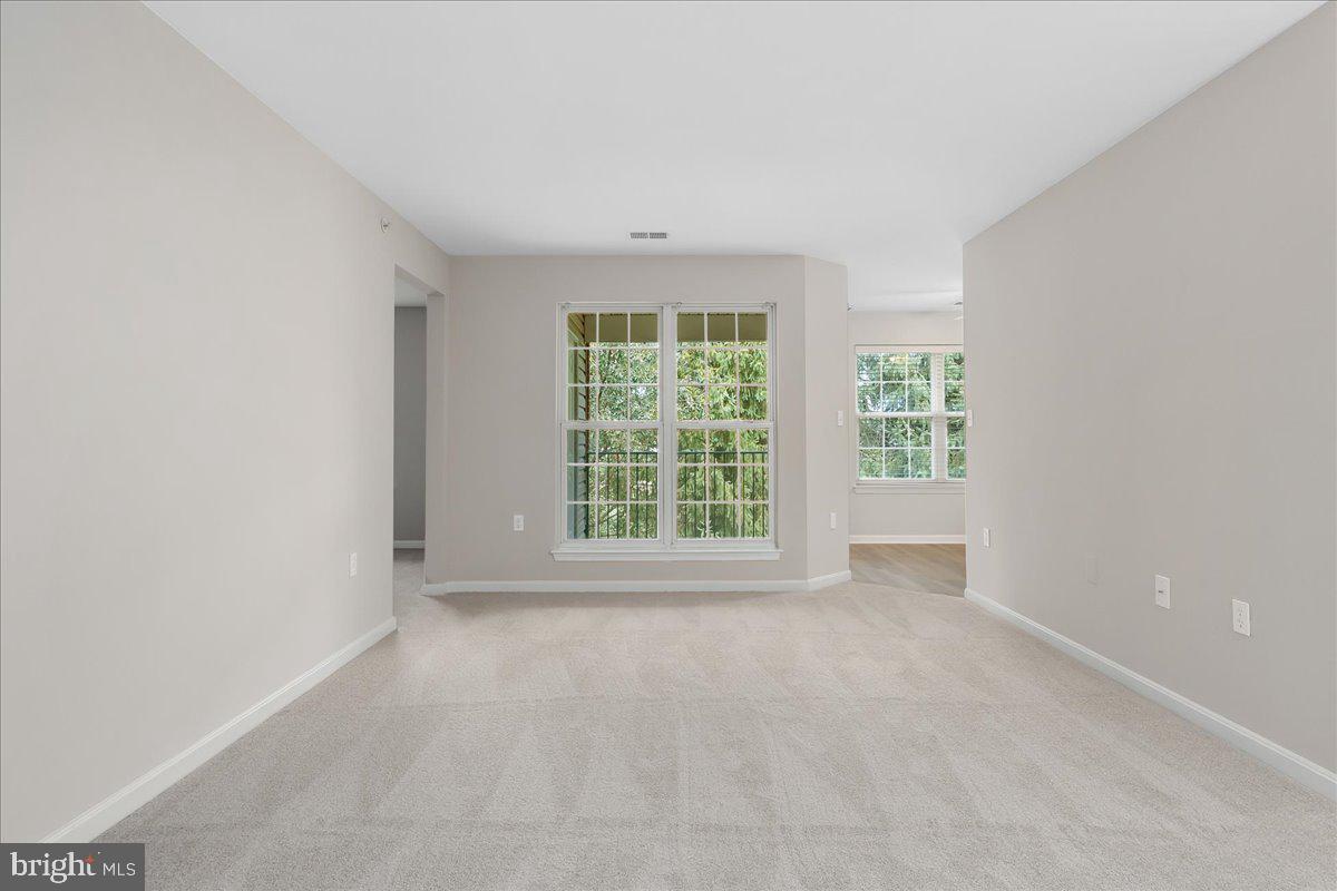 3810 NORMANDY DRIVE 3C
