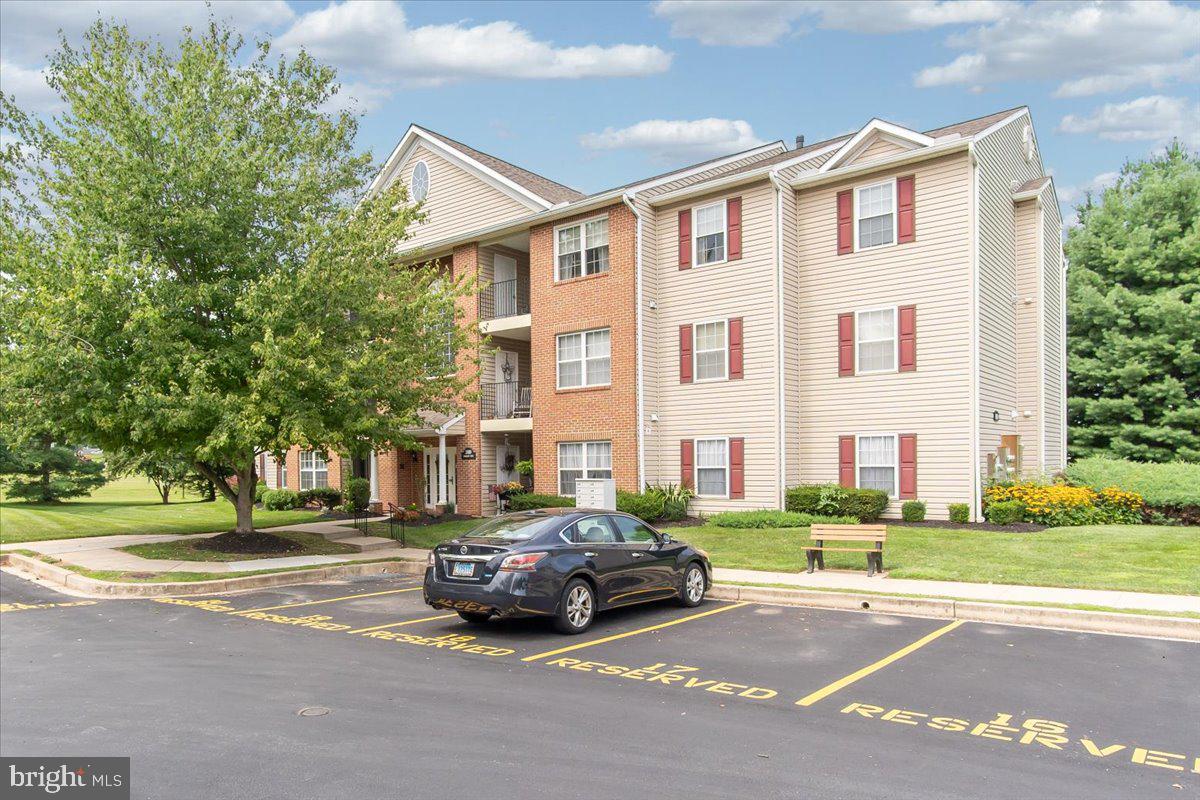 3810 NORMANDY DRIVE 3C