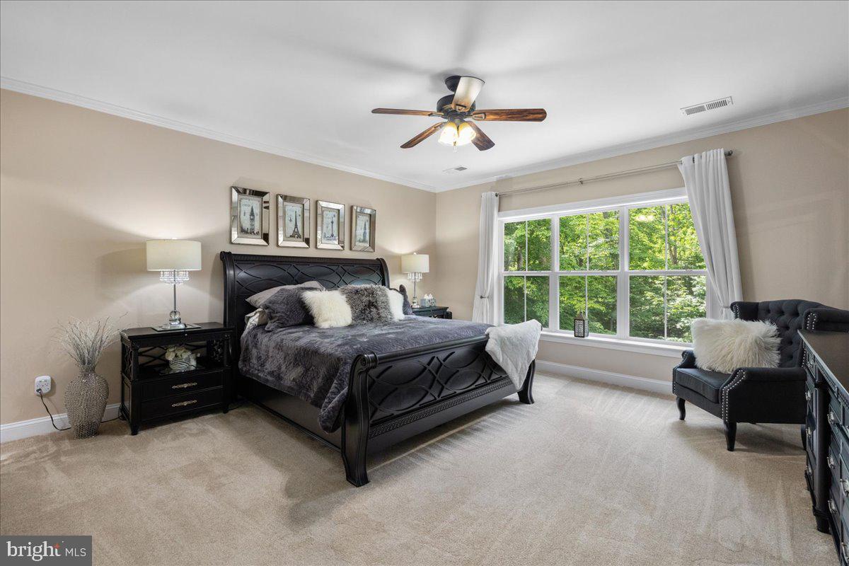 CATOCTIN SPRINGS - Residential