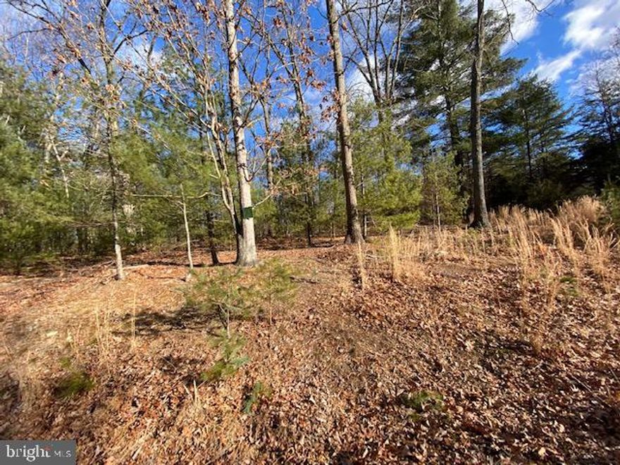 SLATE ROCK CROSSING,  LOT 21: Don’t wait too long or this one will be gone! Offering an ideal location for an escape from the everyday hassles. This fully wooded 4 acres has an approved percolation test for a septic system, fiber optic and electric service available, and a solid, wide roadway. Just across the WV state line, approximately 95 miles from Washington DC, this area is a premier destination. Fish in the numerous trout stocked streams, rivers, and lakes, hike the George Washington National Forest, canoe, windsurf, or row your boat in Warden Lake, Kimsey’s Run Lake or Rock Cliff Lake, find Lost River, and see the only natural body of water in the state, Trout Pond. Eat at the one of the counties many restaurants or find fresh vegetables at one of the farmer’s markets, take a day trip to the ski resorts, Cass Scenic Railroad, or Dolly Sods. West Virginia is rich in history that its many generations of folks would like to share with you. Come share the experience!