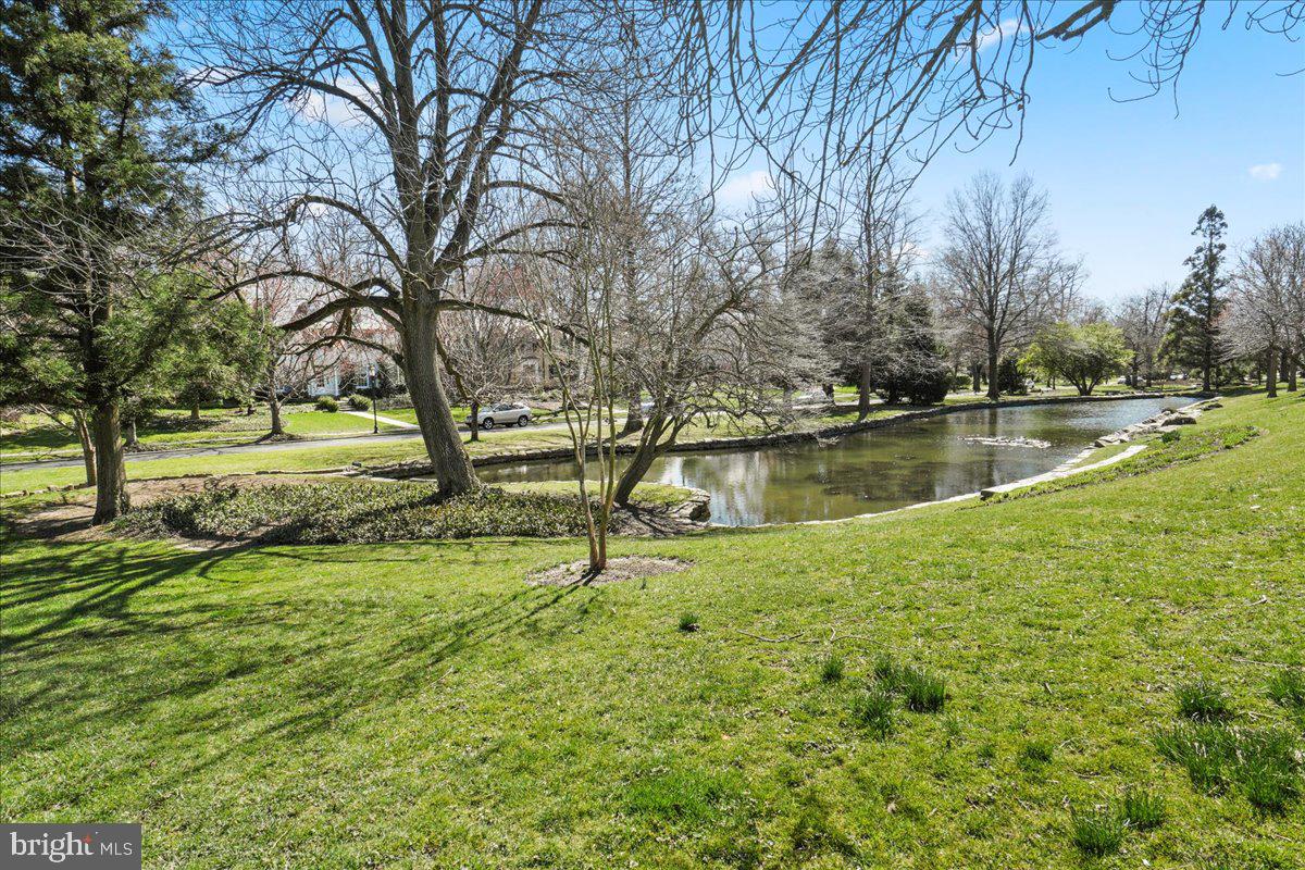 GREATER HOMELAND HISTORIC DISTRICT - Residential