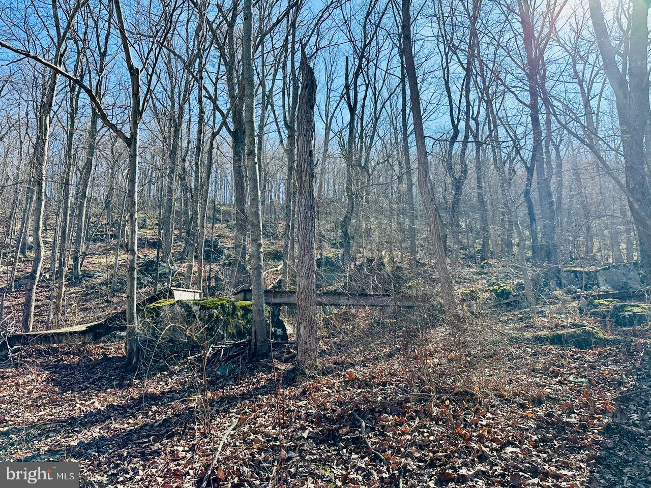 WHITE CLIFFS - Residential