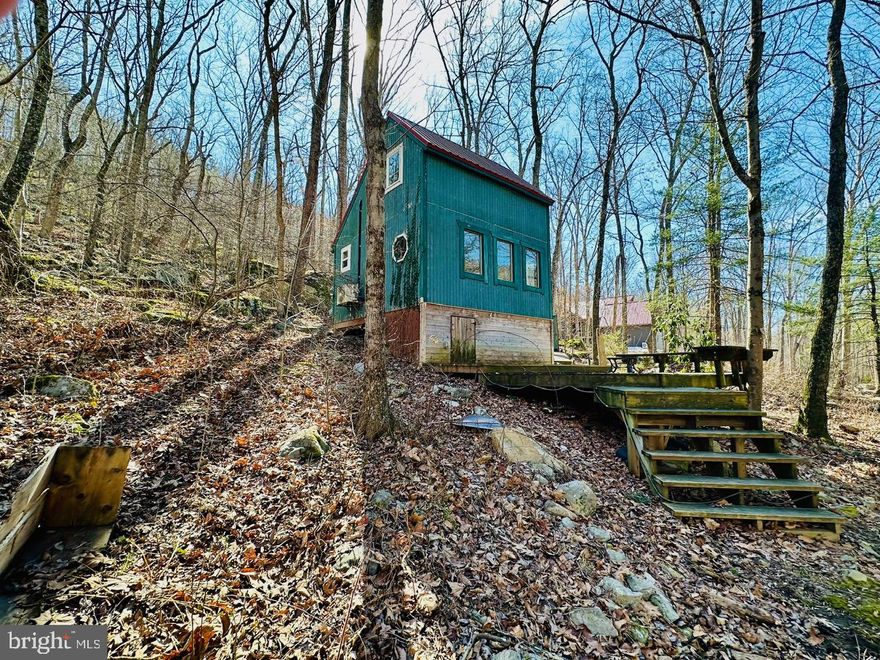 IN JUST TWO HOURS YOU CAN BE AT THIS CHARMING CABIN IN THE WV MOUNTAINS FROM DOWNTOWN D.C. THE DEFINITION OF "GLAMPING", THIS PROPERTY OFFERS PRIVATE WATERFRONT ACREAGE, DECK SPACE ON BOTH THE FRONT AND BACK OF THE CABIN, PEACE AND QUIET AND THE OPPORTUNITY TO CONSIDER SHORT TERM RENTALS. IN ADDITION TO THE AMENITIES LOCATED ON THE PROPERTY, THE HOA OFFERS PRIVATE LAKES TO SWIM AND FISH, A TENNIS COURT, A PLAYGROUND, LARGE PICNIC PAVILION AND THE OPPORTUNITY TO USE THE PRIVATE WILDERNESS HUNTING ACREAGE IN THE SUBDIVISION. THE CABIN HAS AN OPEN FLOOR PLAN ON THE BOTTOM WITH A LIVING AREA AND SMALL KITCHENETTE AND A COMFORTABLE LOFT TO GET A GOOD NIGHT'S SLEEP. THE CABIN HAS ELECTRIC HEAT AND AIR CONDITIONING. THERE IS A CUSTOMIZED TILE AREA AND CHIMNEY THAT CAN BE USED FOR A WOOD STOVE. THE CABIN HAS BONUS STORAGE AREA IN THE ENCLOSED CRAWLSPACE. DOWNTOWN CAPON BRIDGE IS ABOUT A 15 MINUTE DRIVE AWAY. CAPON BRIDGE OFFERS SHOPPING FOR THE ESSENTIAL GROCERIES, RESTAURANTS AND ENTERTAINMENT. COME AND TAKE IN THE FRESH AIR AND STARRY NIGHTS AT THE WARSAW DRIVE CABIN! ALL ITEMS IN THE CABIN CONVEY.