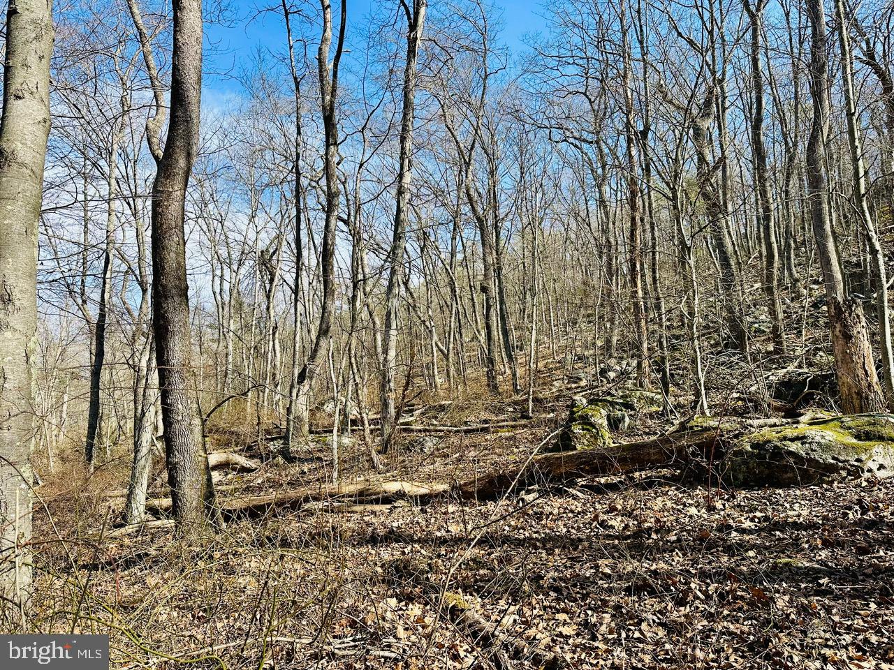 WHITE CLIFFS - Residential