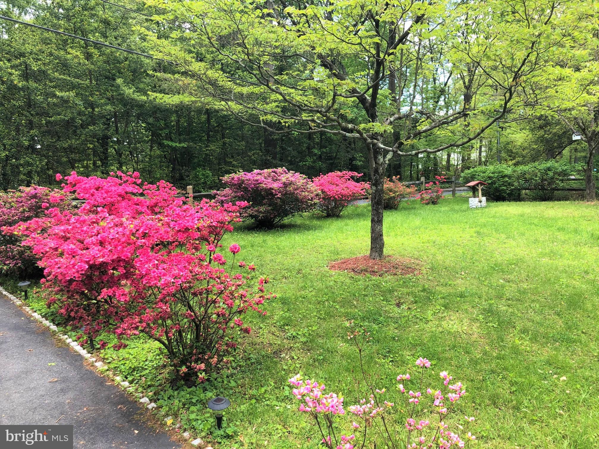 ARDEN ON THE SEVERN - Residential