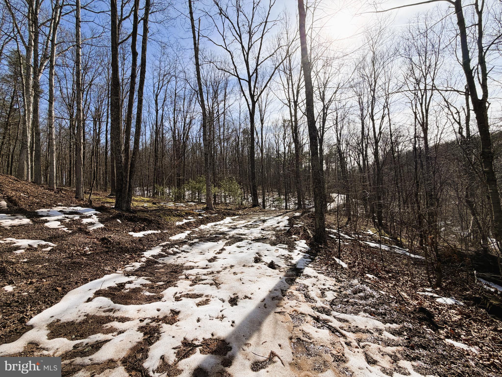 NONE AVAILABLE - Land