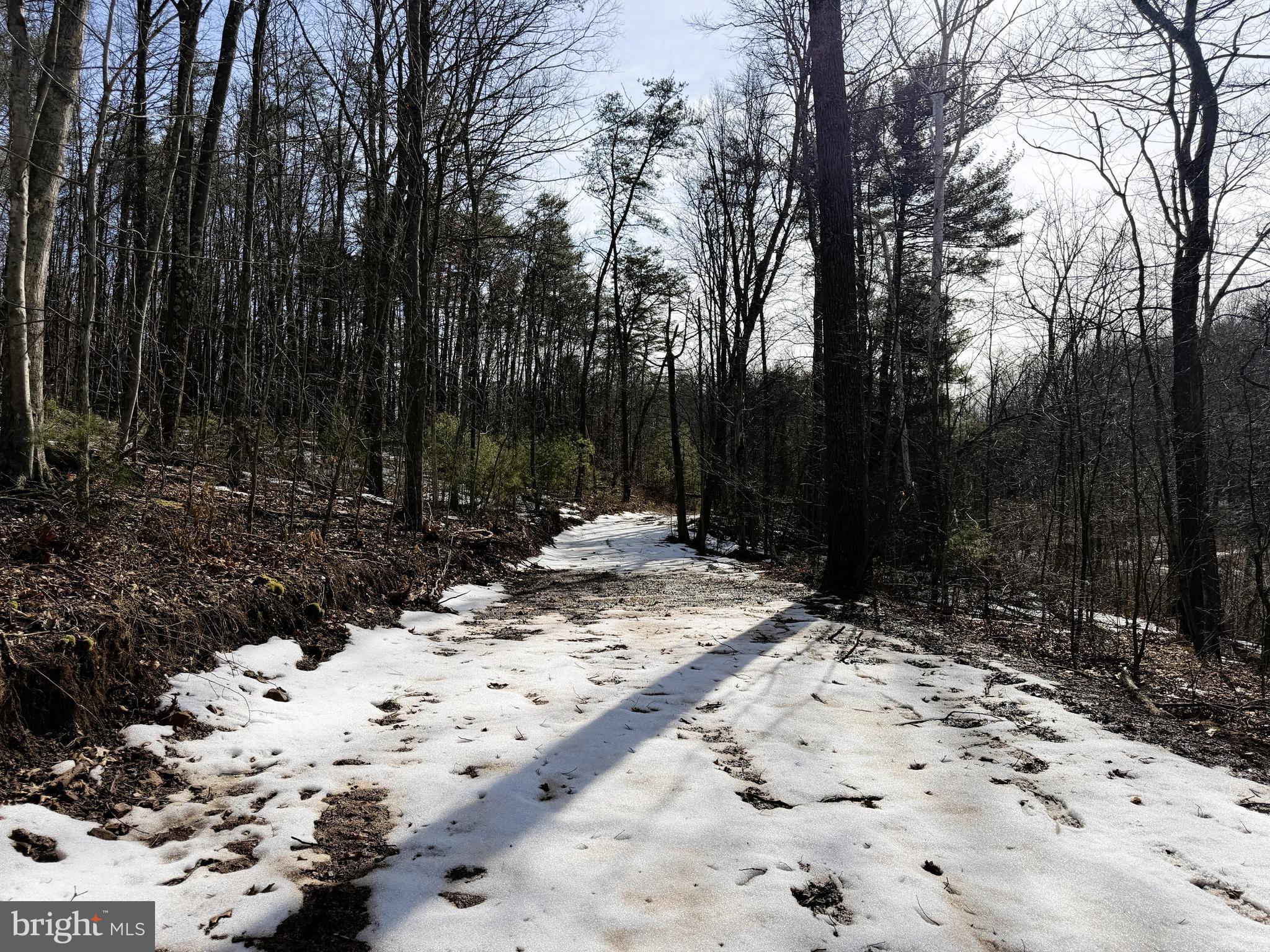 NONE AVAILABLE - Land