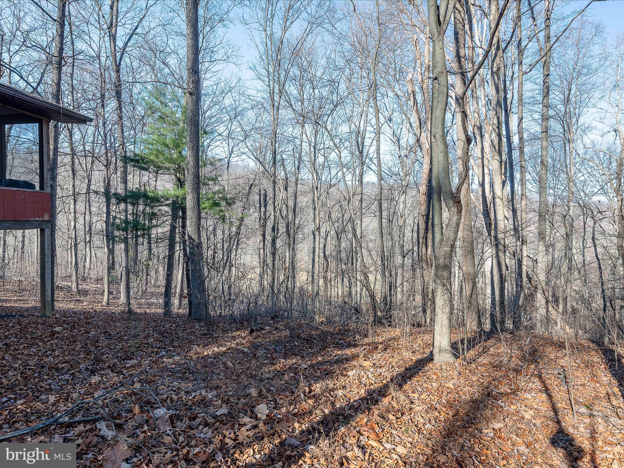 ROUSE MOUNTAIN - Residential