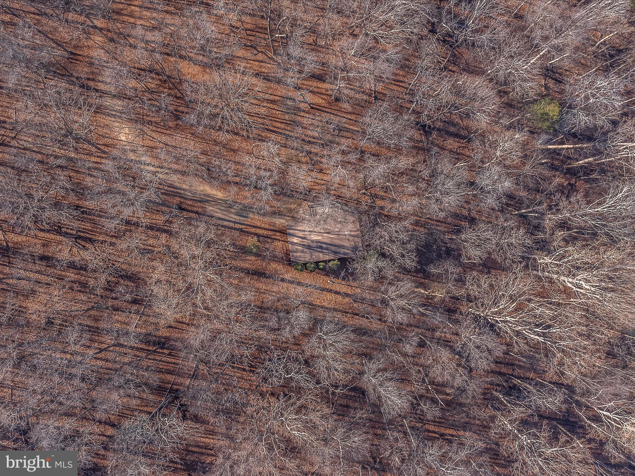 ROUSE MOUNTAIN - Residential