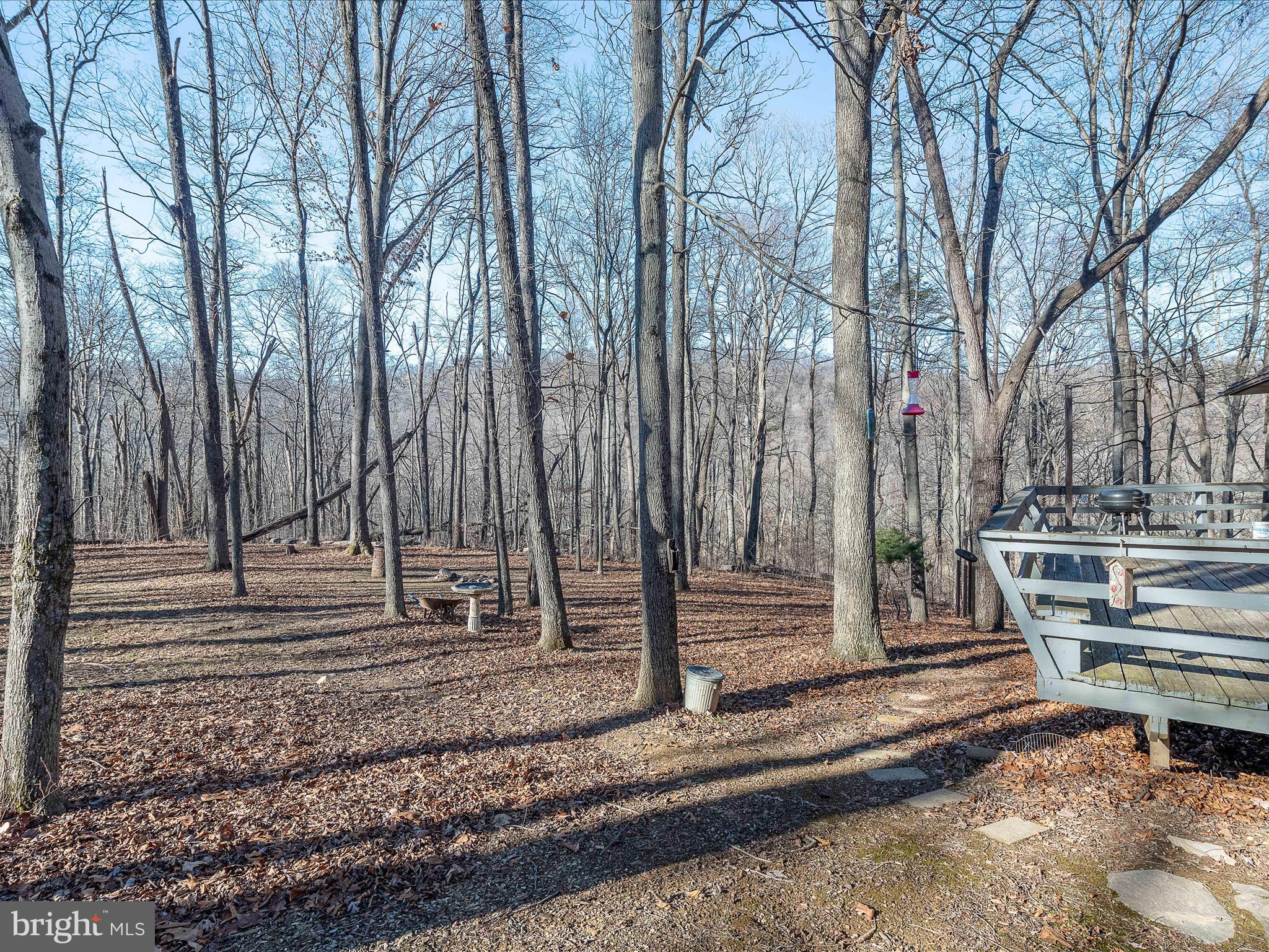 ROUSE MOUNTAIN - Residential