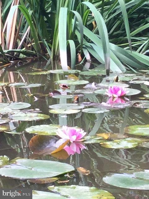 SOMERSET - Residential