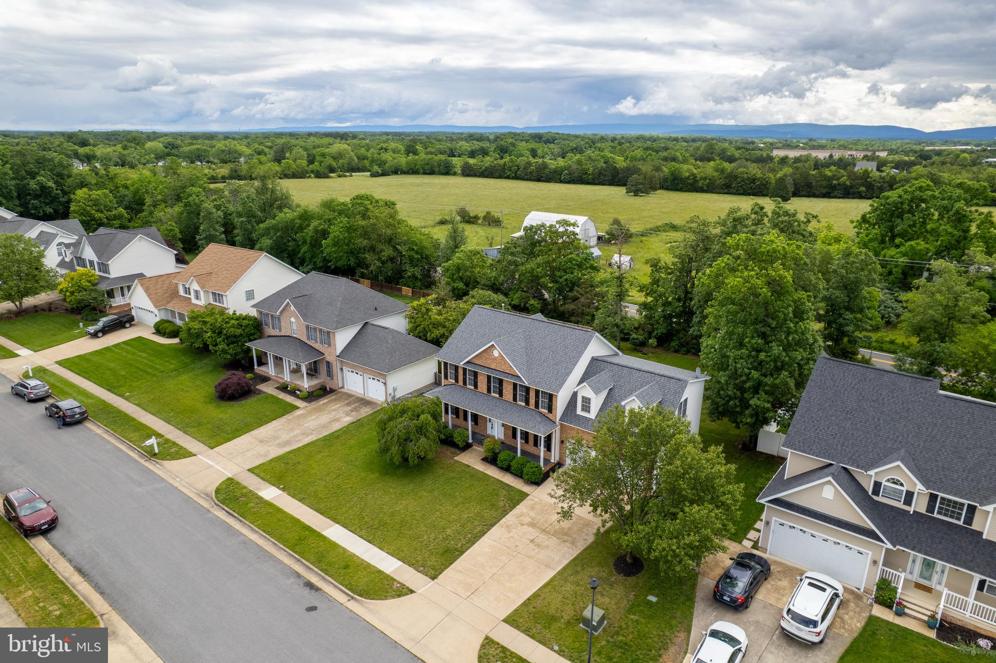 117 BOYDTON PLANK DRIVE