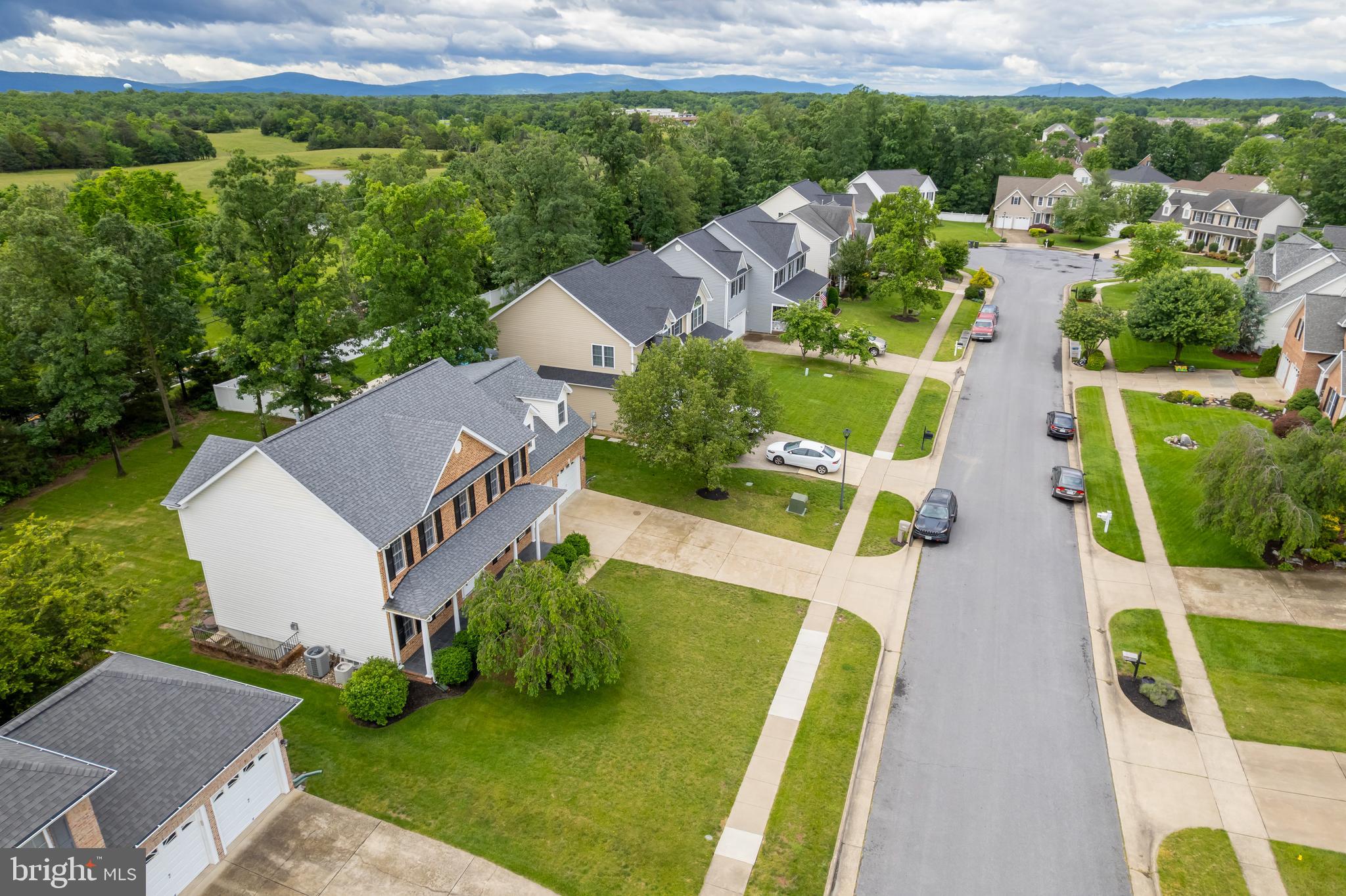 117 BOYDTON PLANK DRIVE