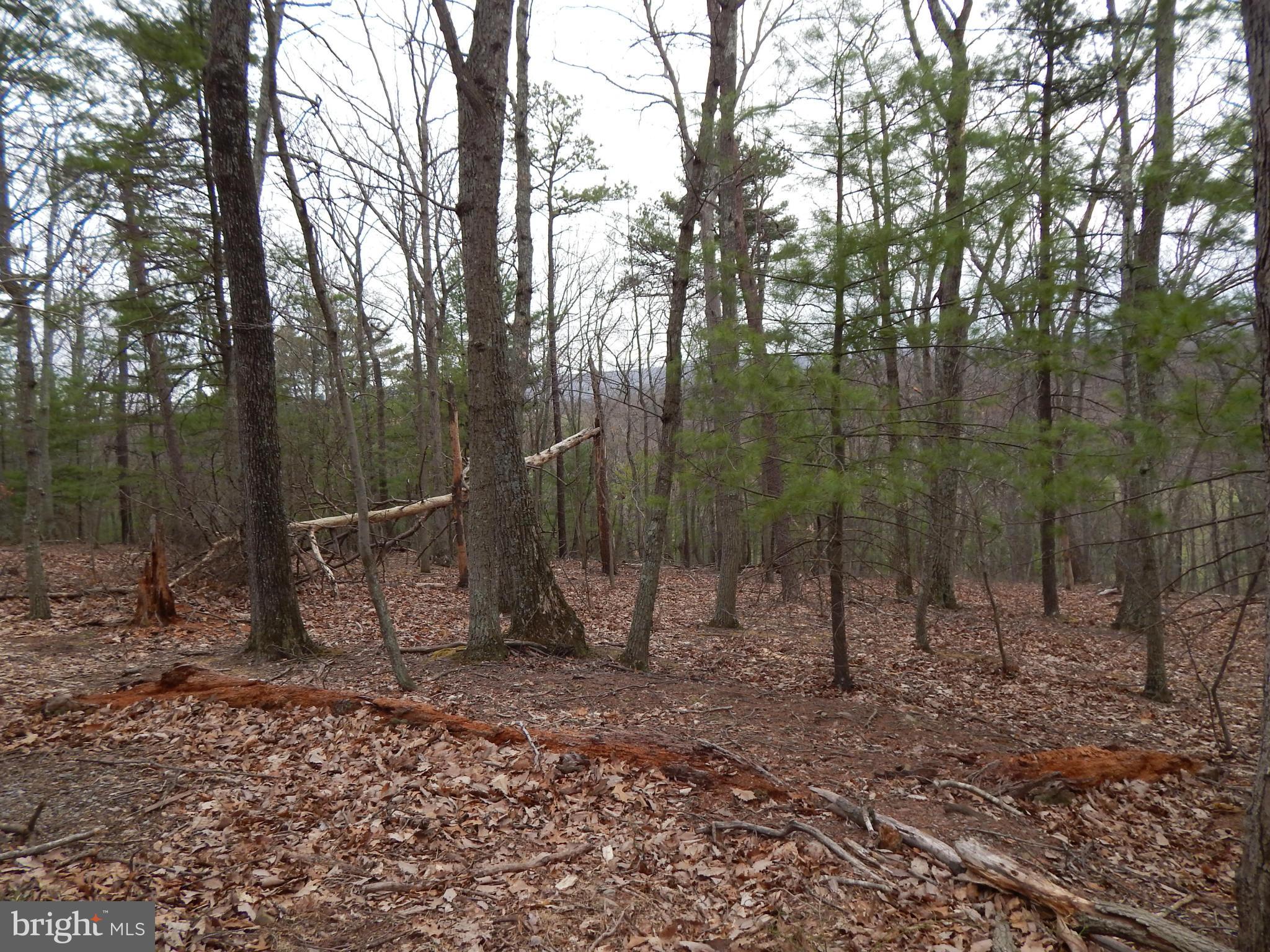 MT. TABOR ASSOCIATION - Land