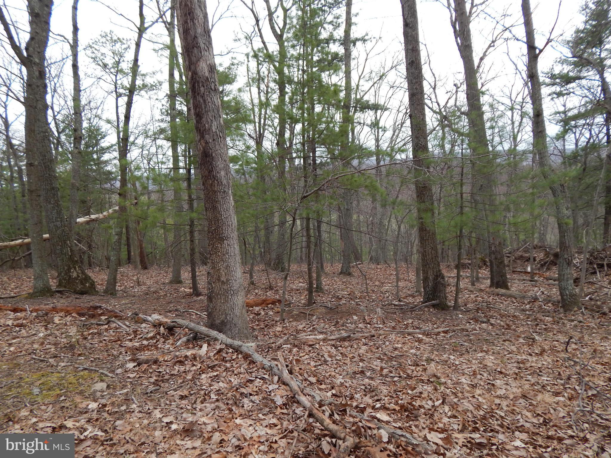 MT. TABOR ASSOCIATION - Land