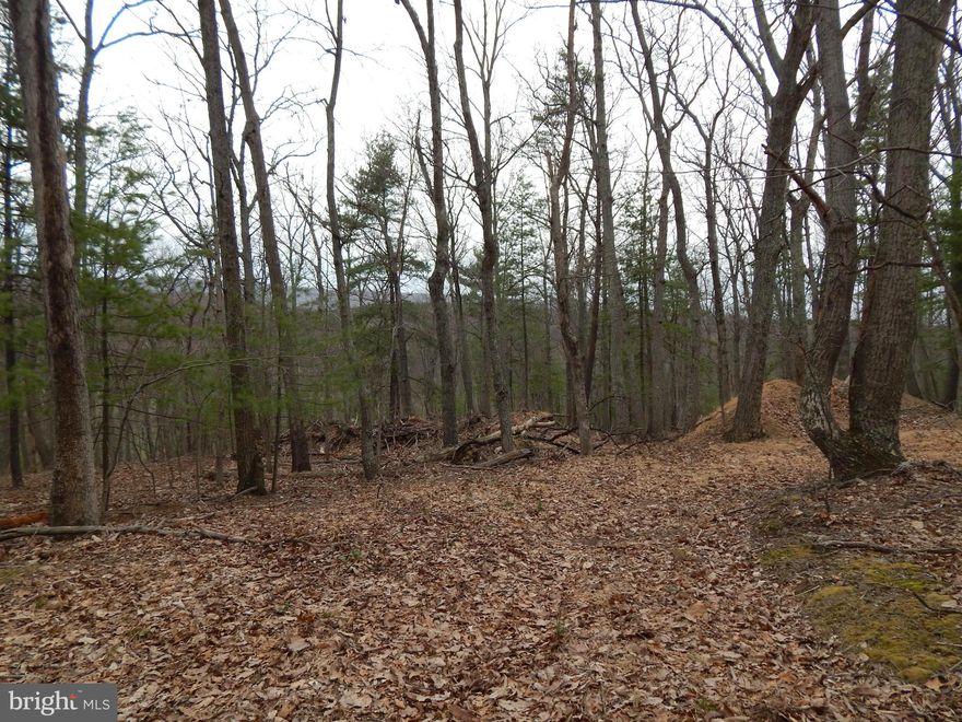 2.22 Wooded Acres with views of the Cacapon Mountain.   Community lake stocked with fish & beach area for swimming, picnic area & a bath house are just a few of the spectacular amenities of the unique community  Within 10 min. of Cacapon State Park & 30 min.to White Tail Skiing