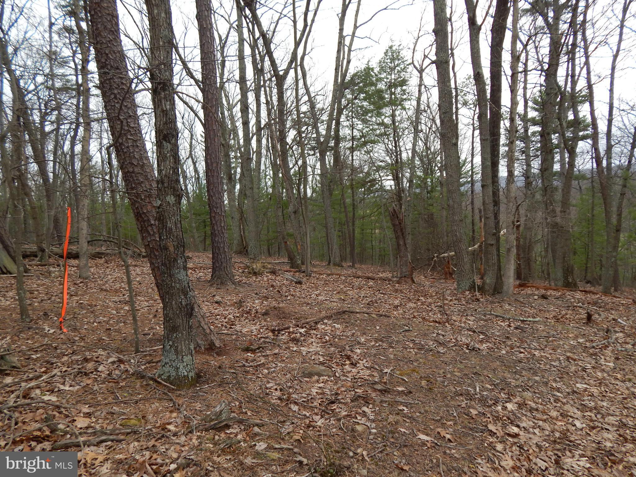 MT. TABOR ASSOCIATION - Land