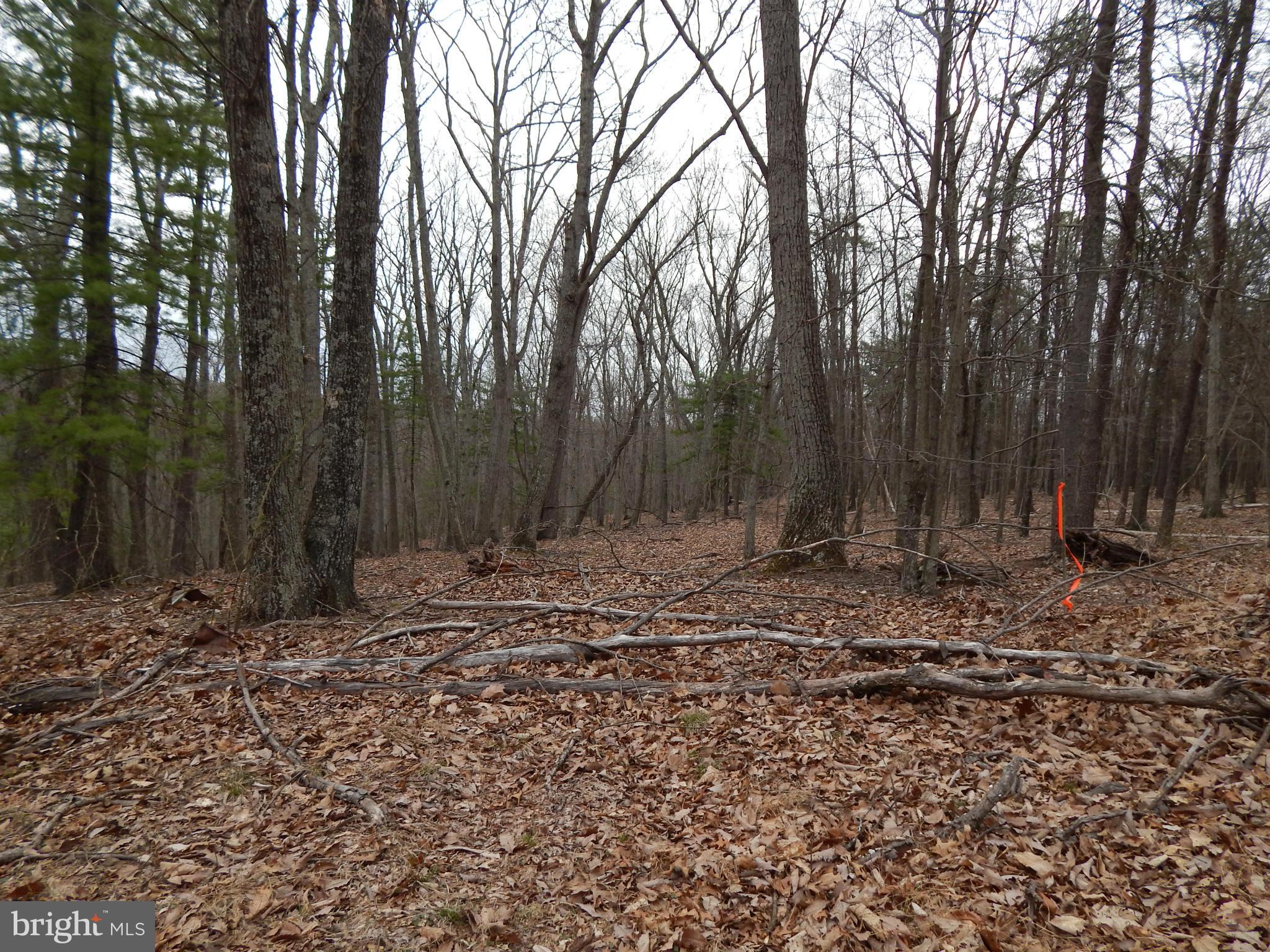 MT. TABOR ASSOCIATION - Land