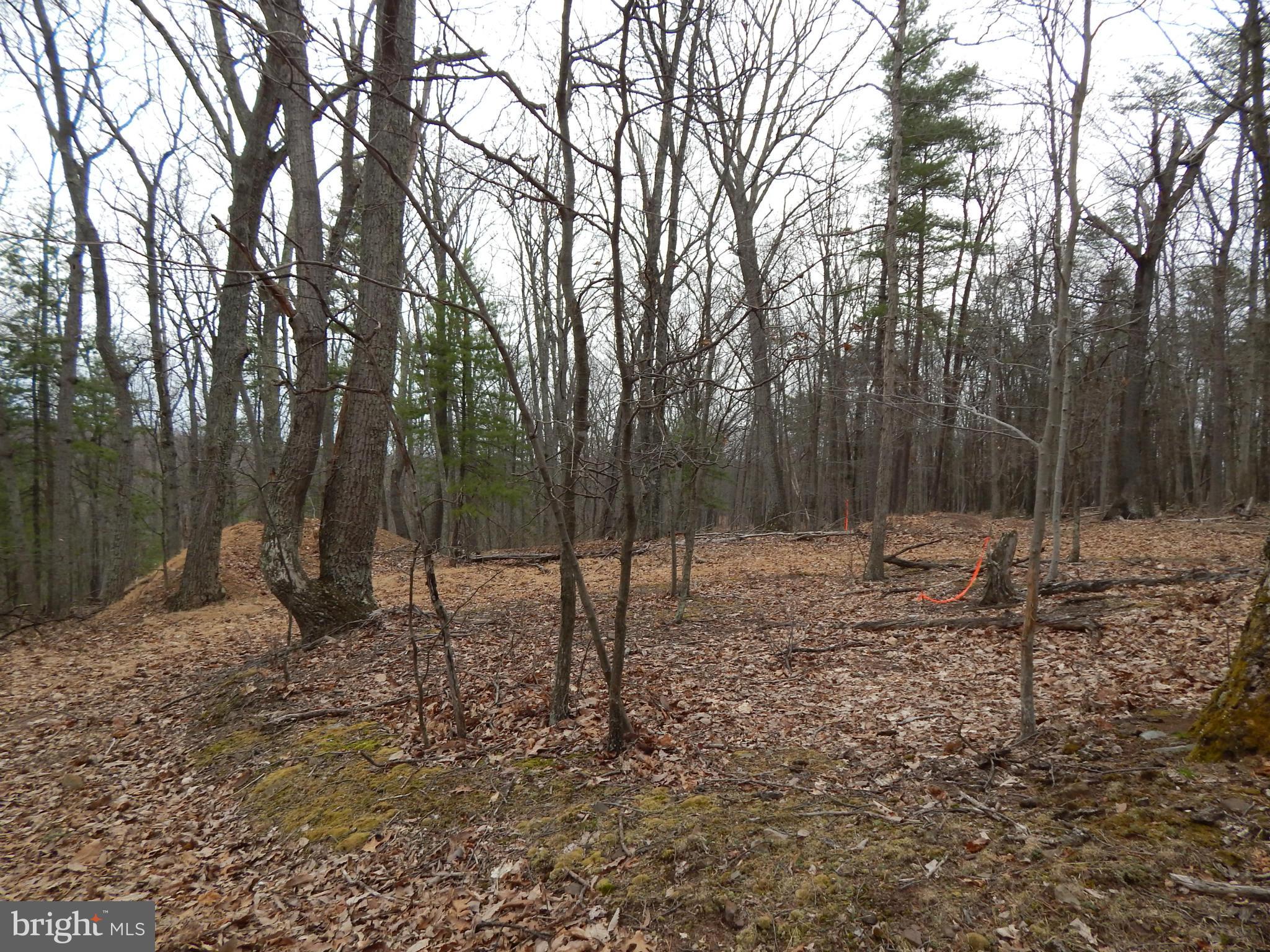 MT. TABOR ASSOCIATION - Land